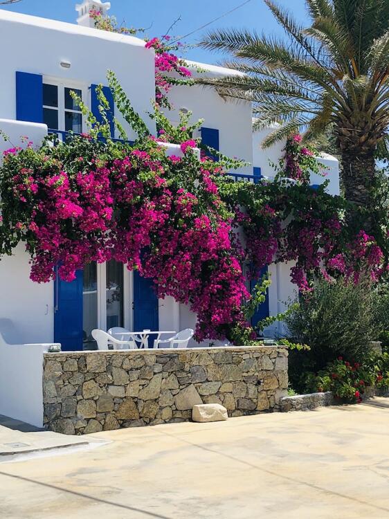 Foto del entorno de Anemos Apartments