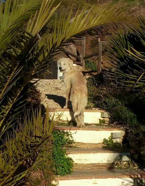 Foto del entorno de Casa Colina