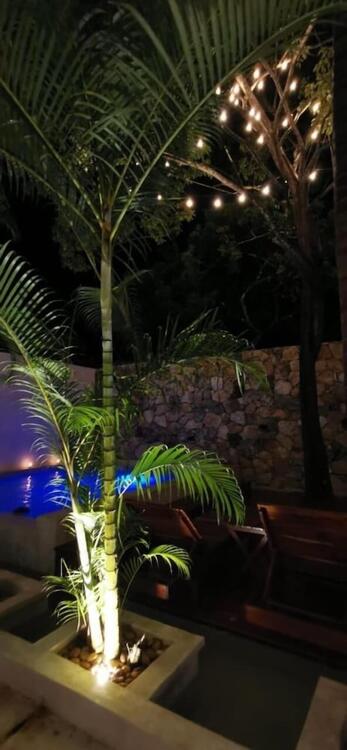 Foto general de Hotel Casa Bamboo