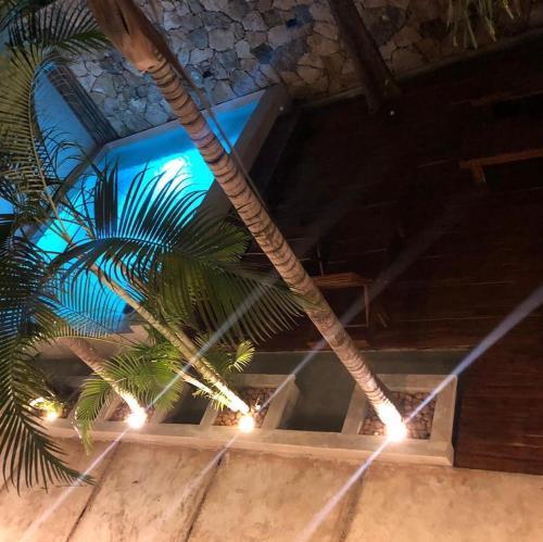 Foto de los servicios de Hotel Casa Bamboo