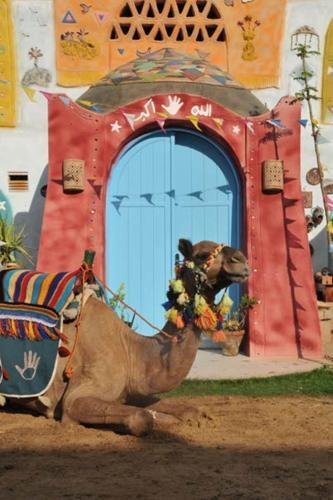 Foto del exterior de Anakato Nubian Experience