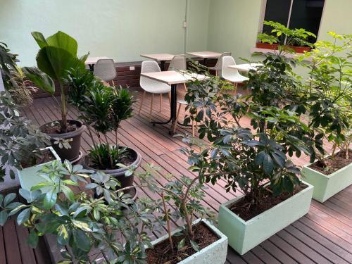 Foto general de Cocobamboo Hotel