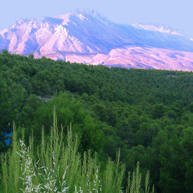 Foto de La Sierra de María