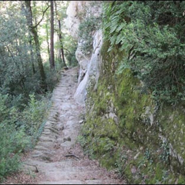 Foto de Espacio Natural de les Guilleries-Savassona