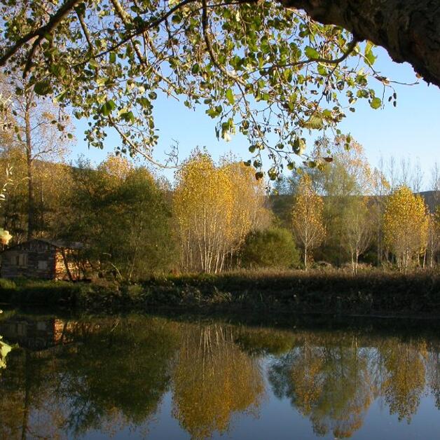 Foto de San Miguel de Presillas