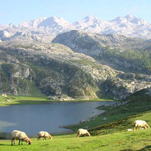 Foto de Reserva de la Biosfera de Argüellos