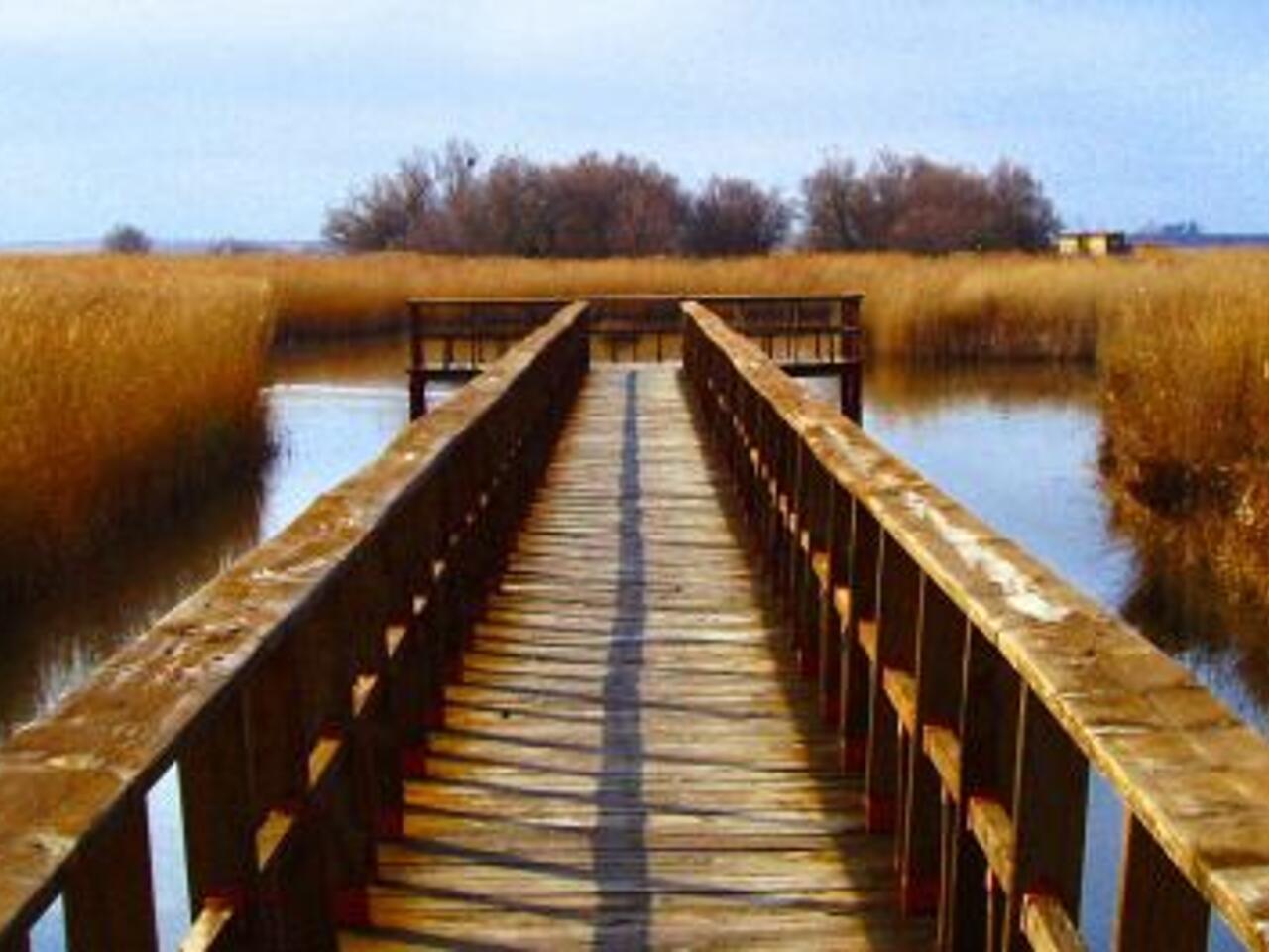 Fotografía de Daimiel