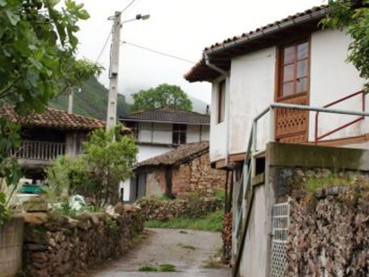 Fotografía de Tineo