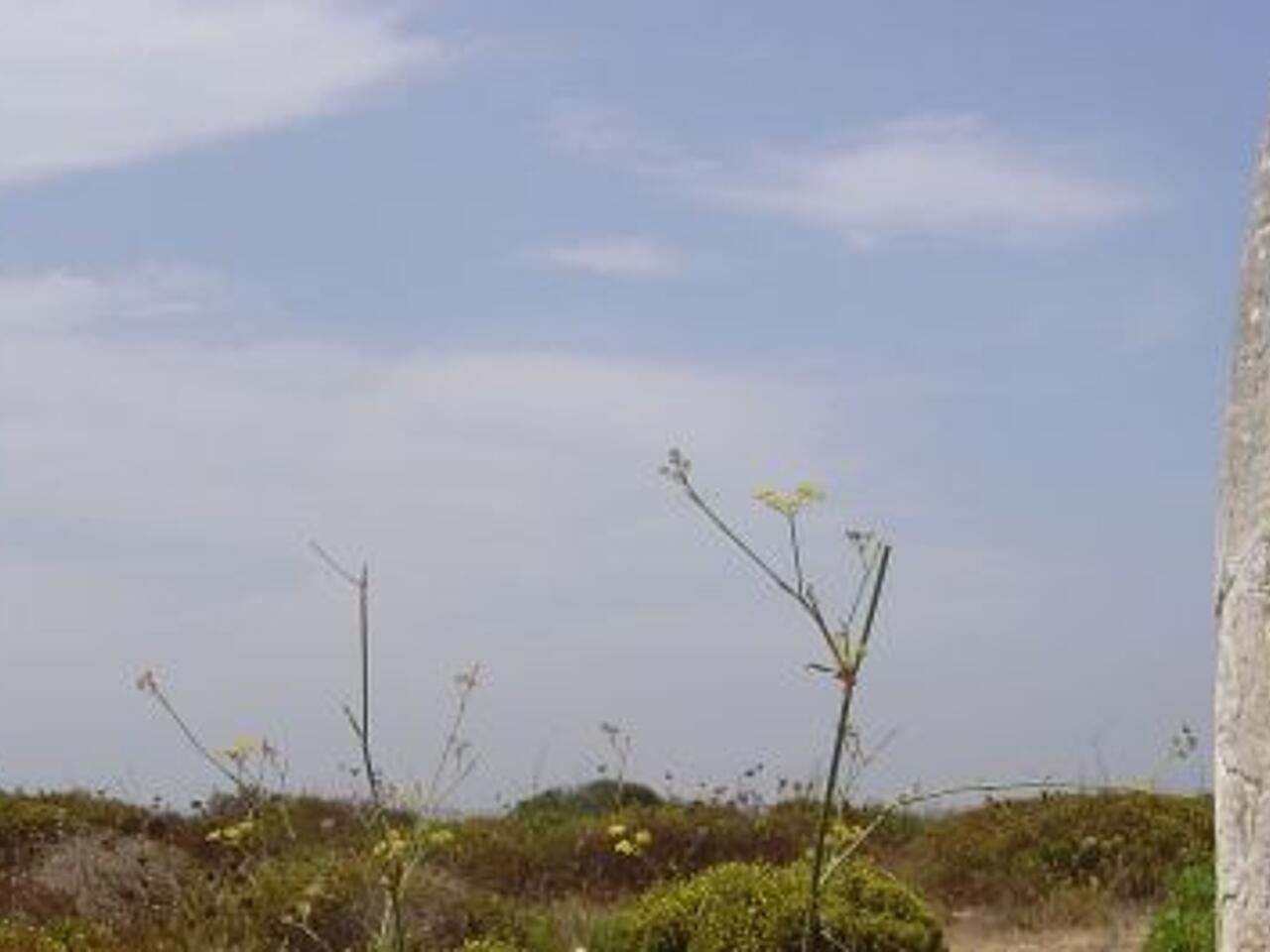 Fotografía de Menhir de Raposeira