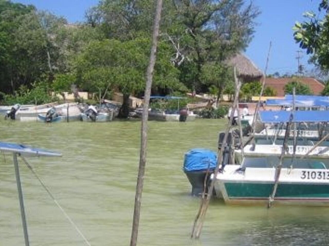 Fotografía de Puerto en Celestún