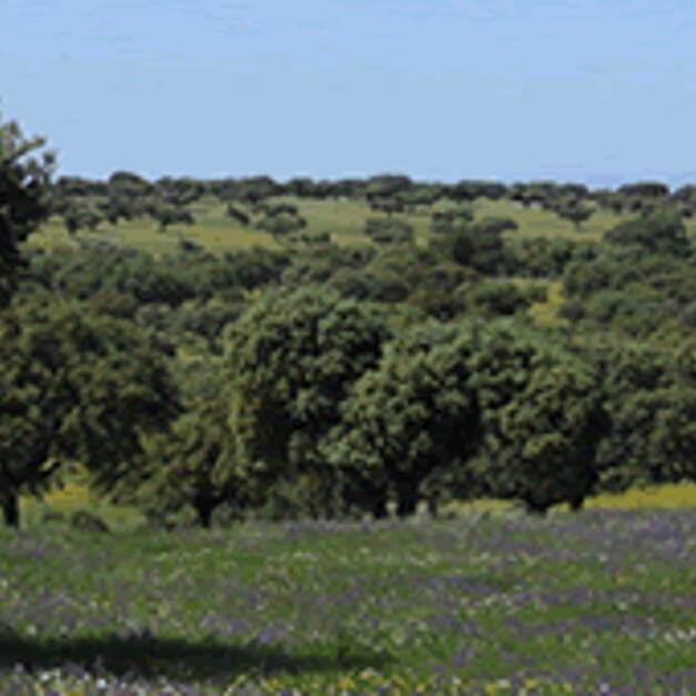 Foto de Extremadura