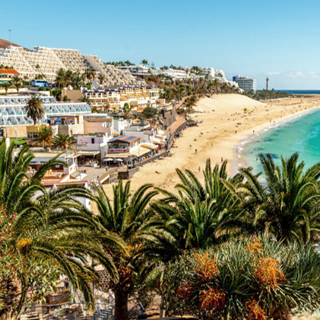 Foto de Vive Gran Canaria