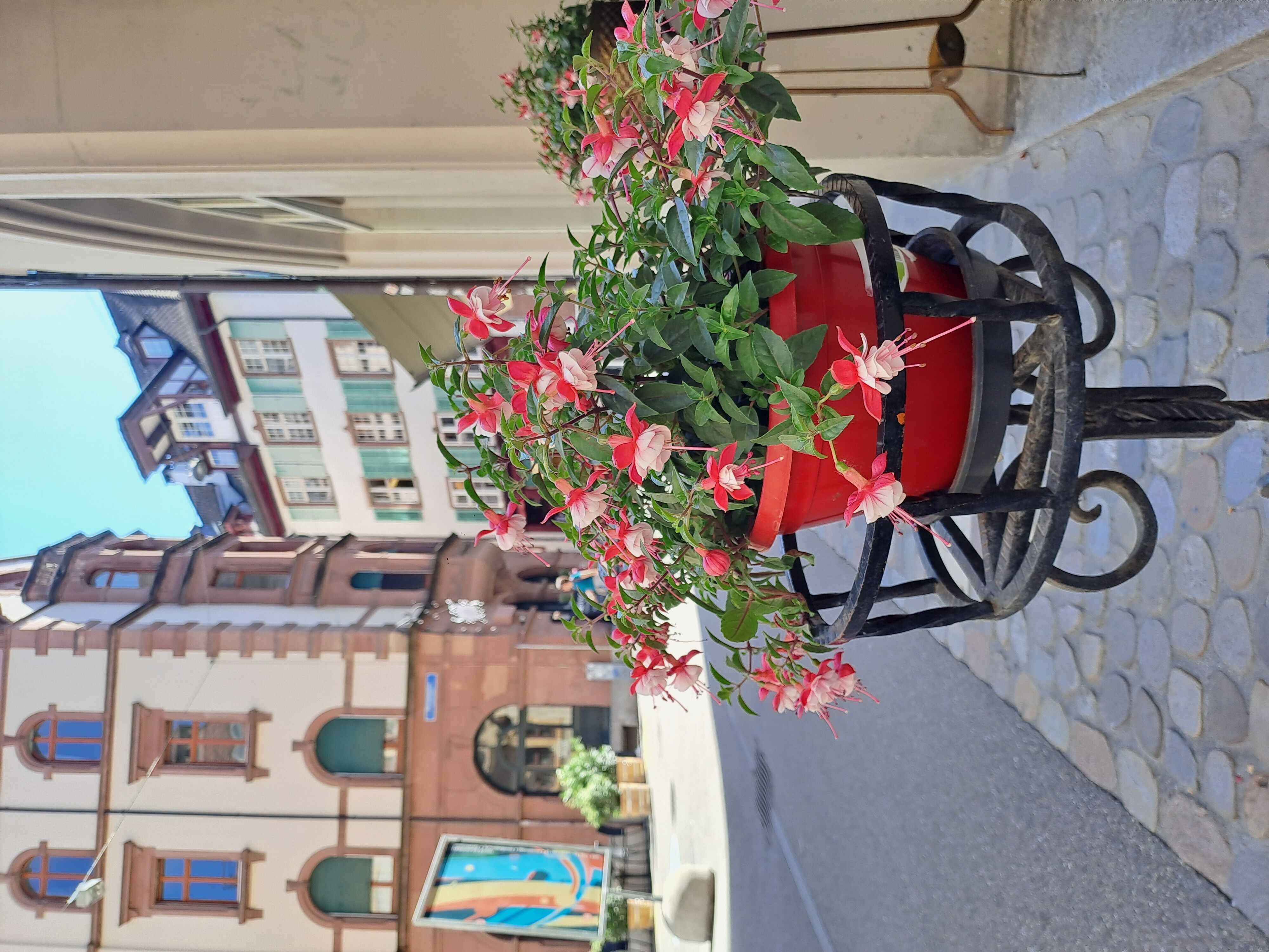 Basel