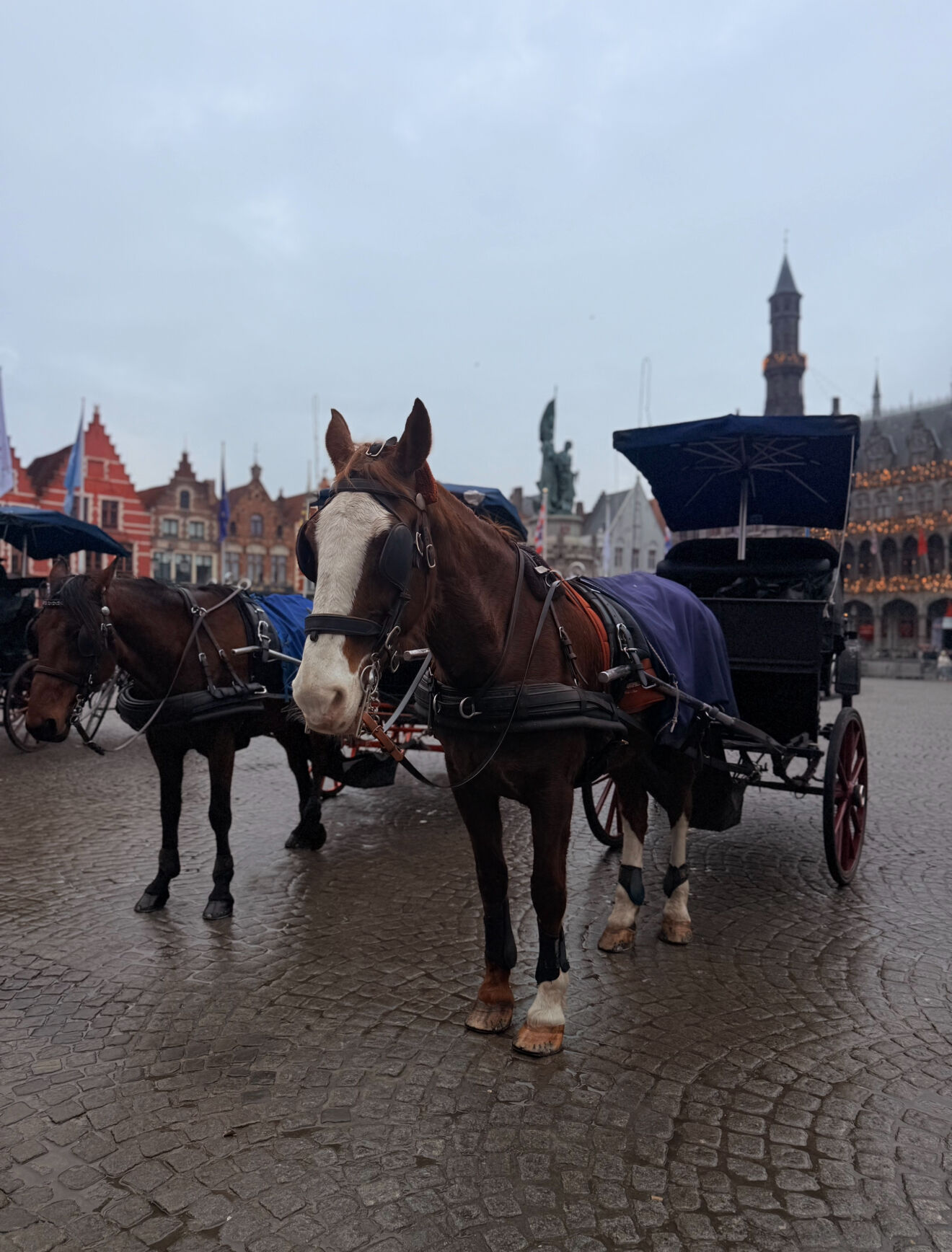 Brujas