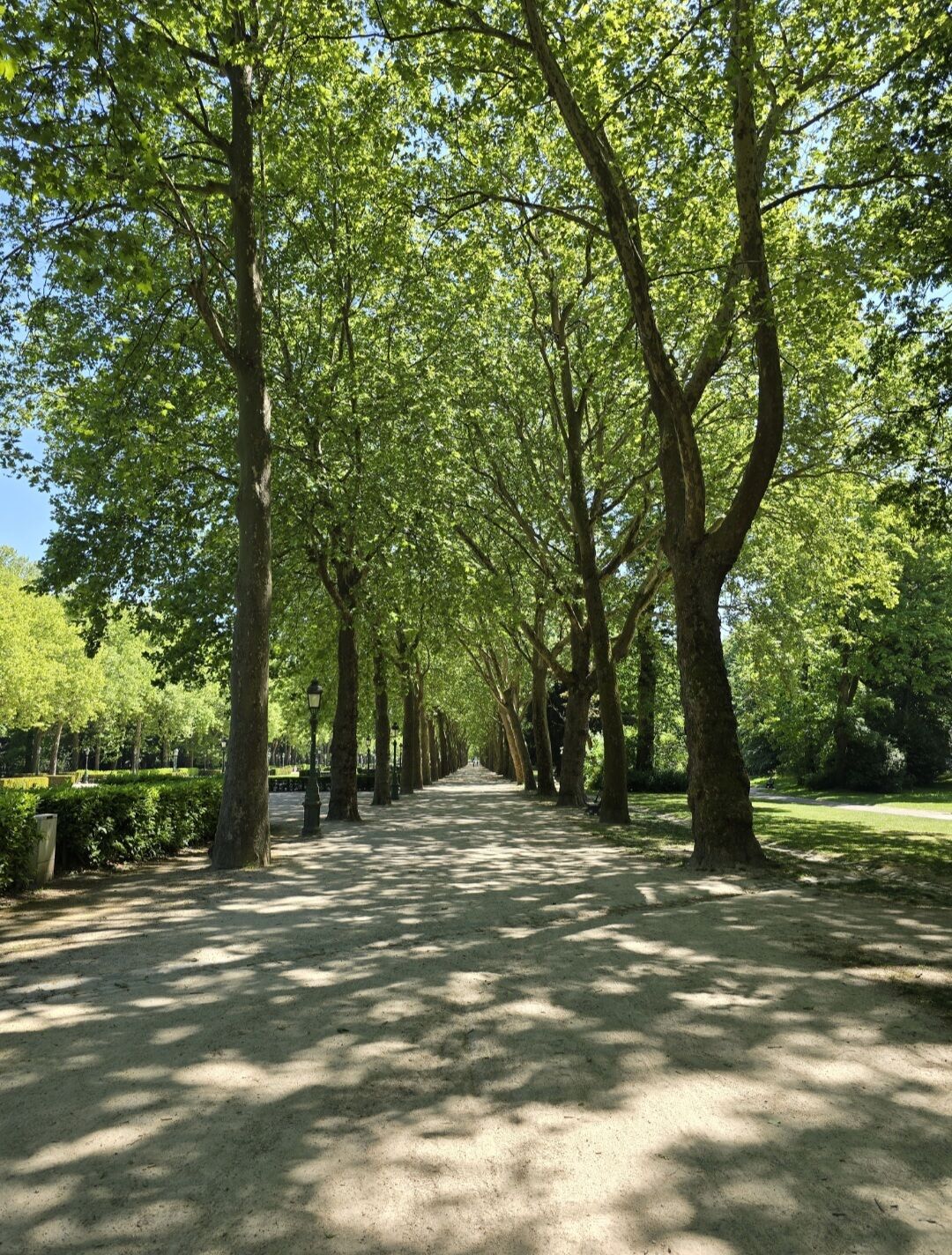Bruselas