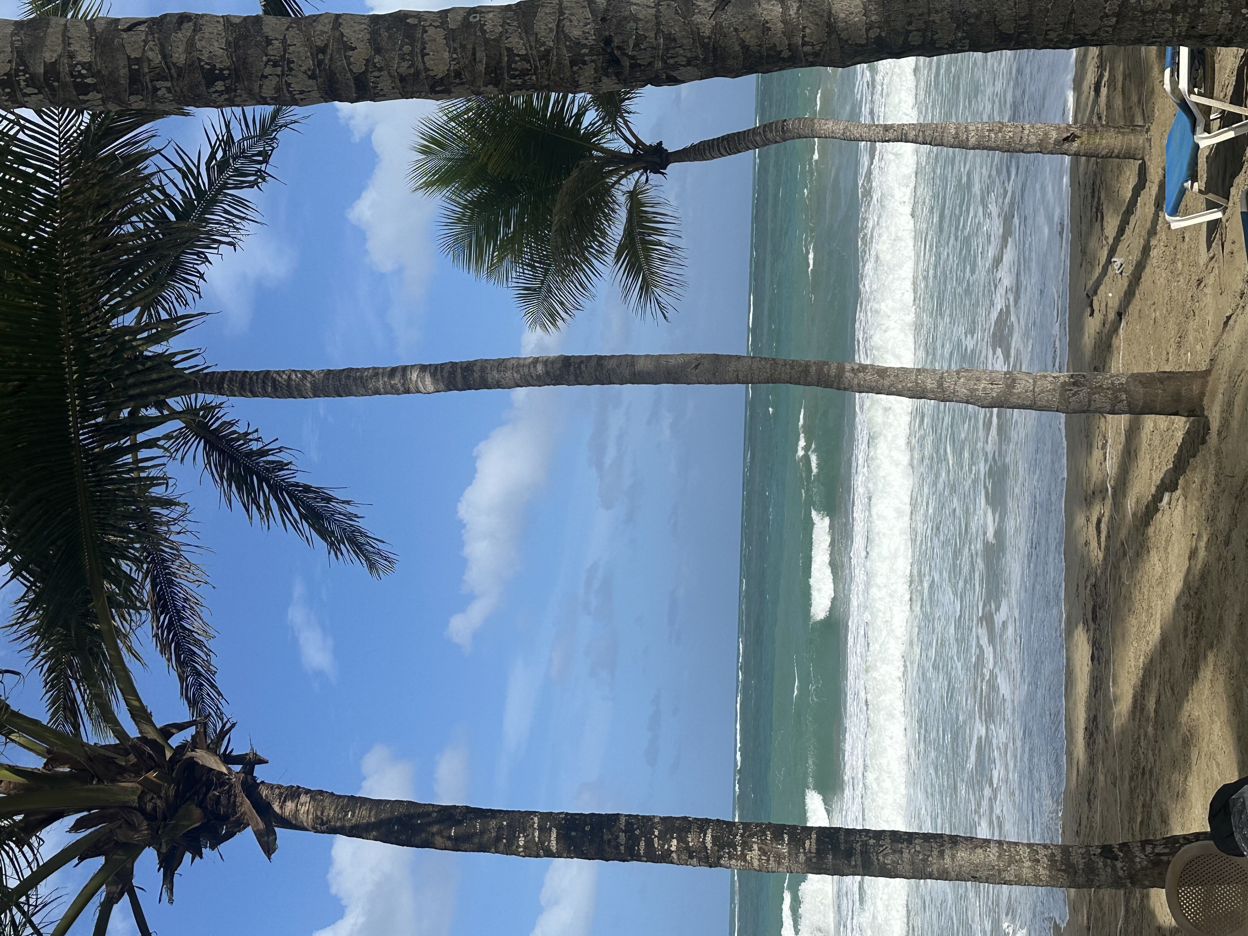 Cabarete