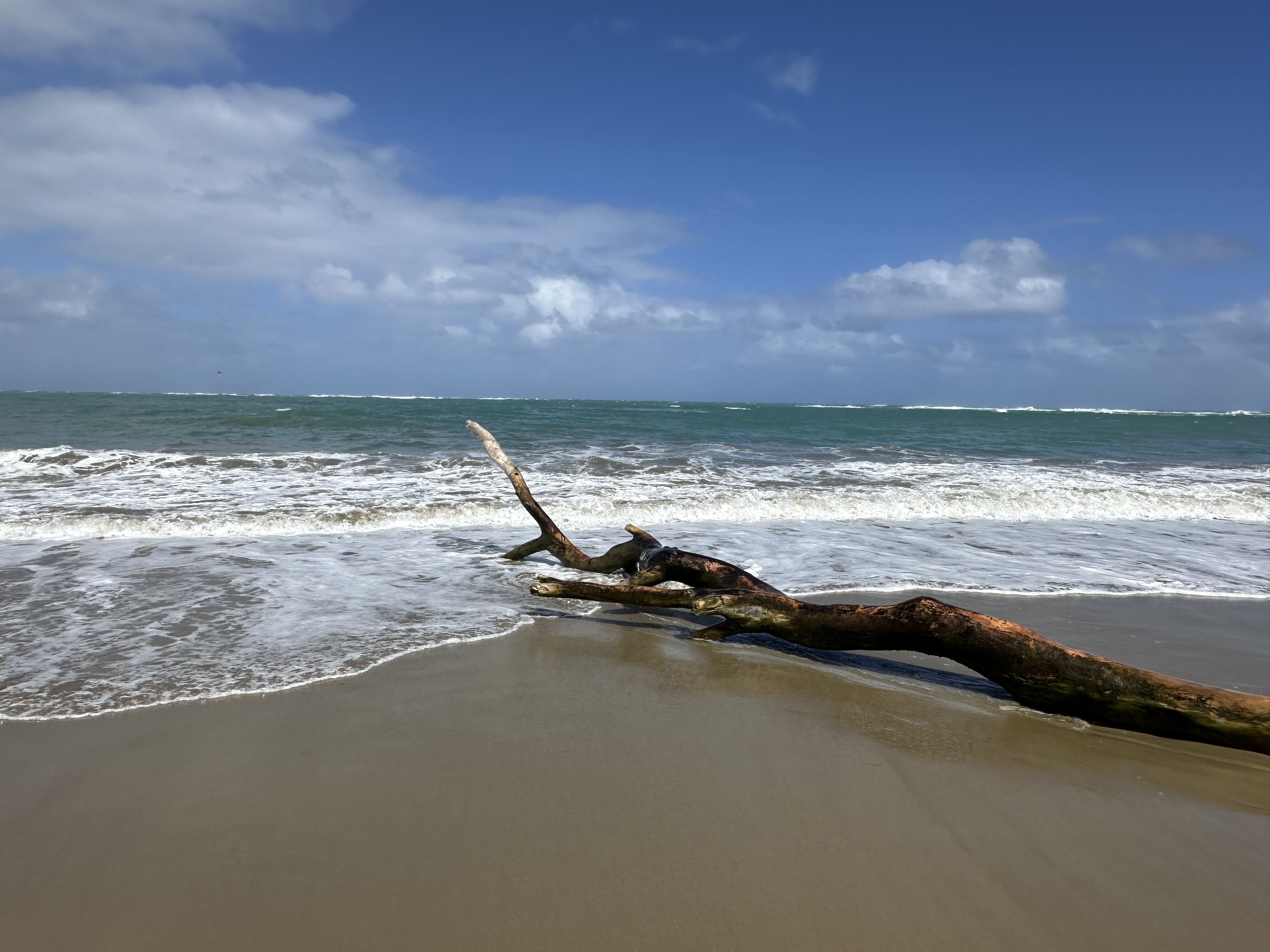 Cabarete