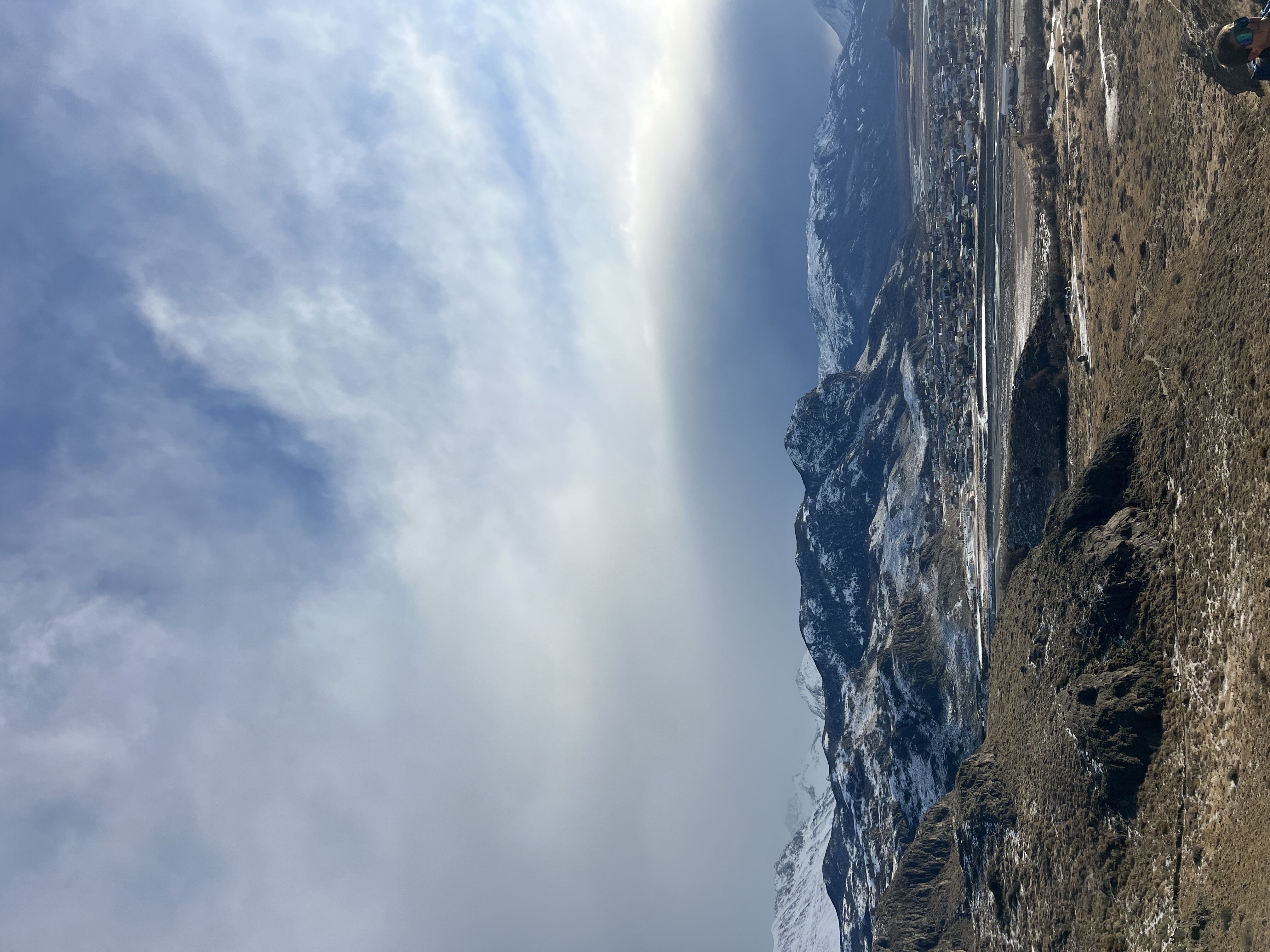 Calafate