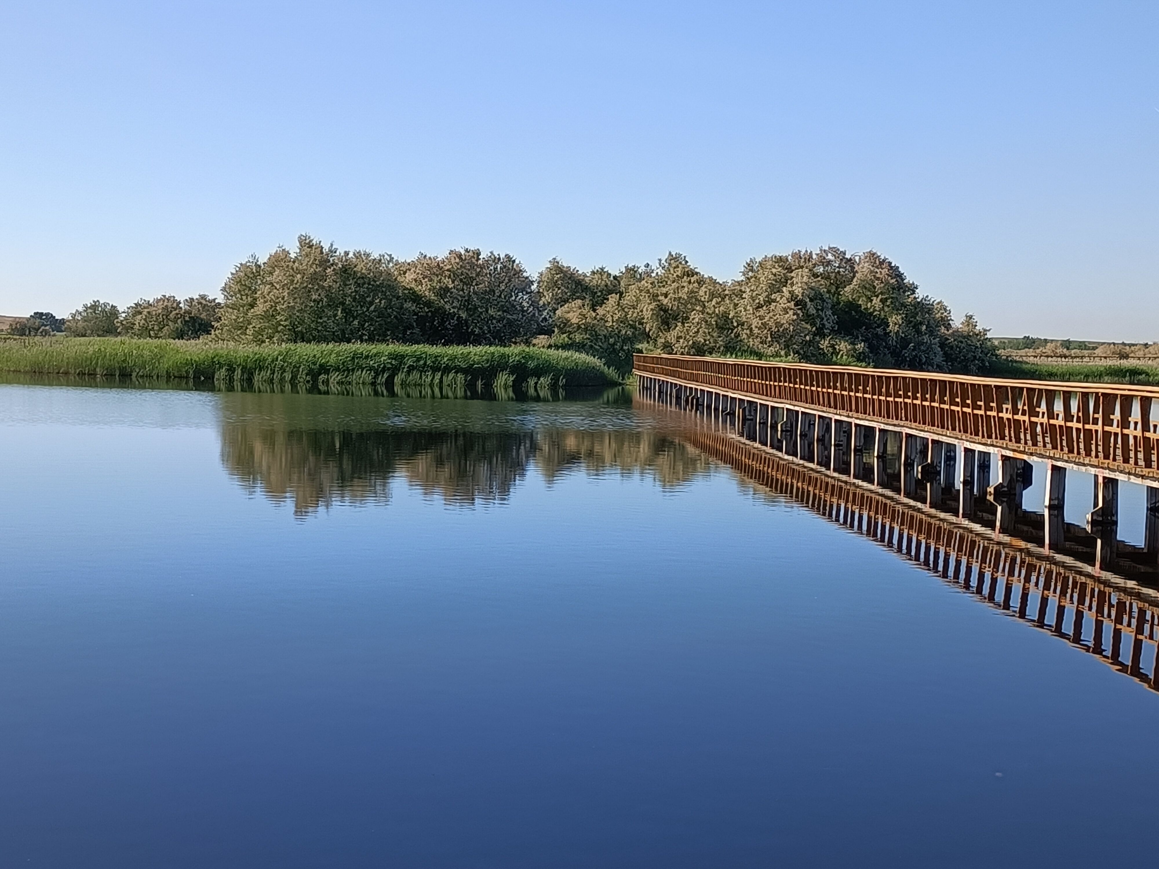Daimiel