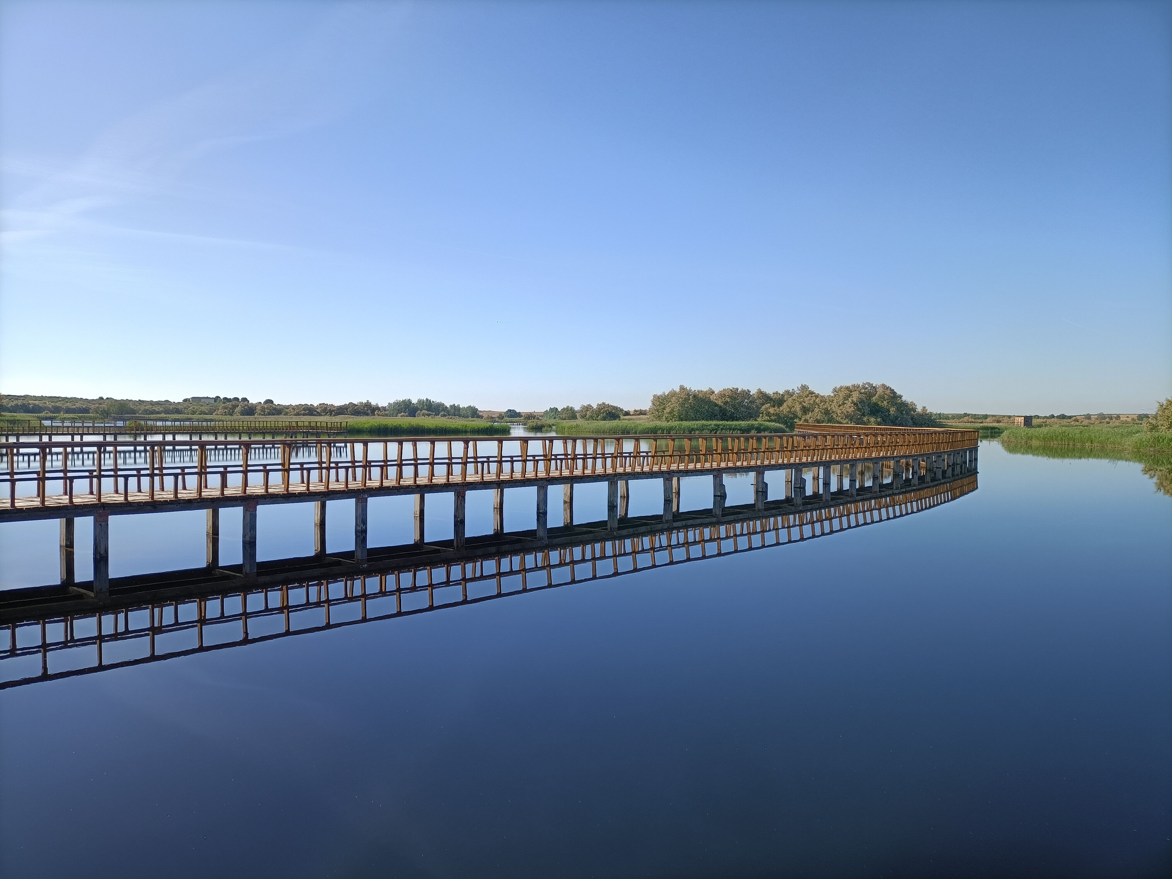 Daimiel