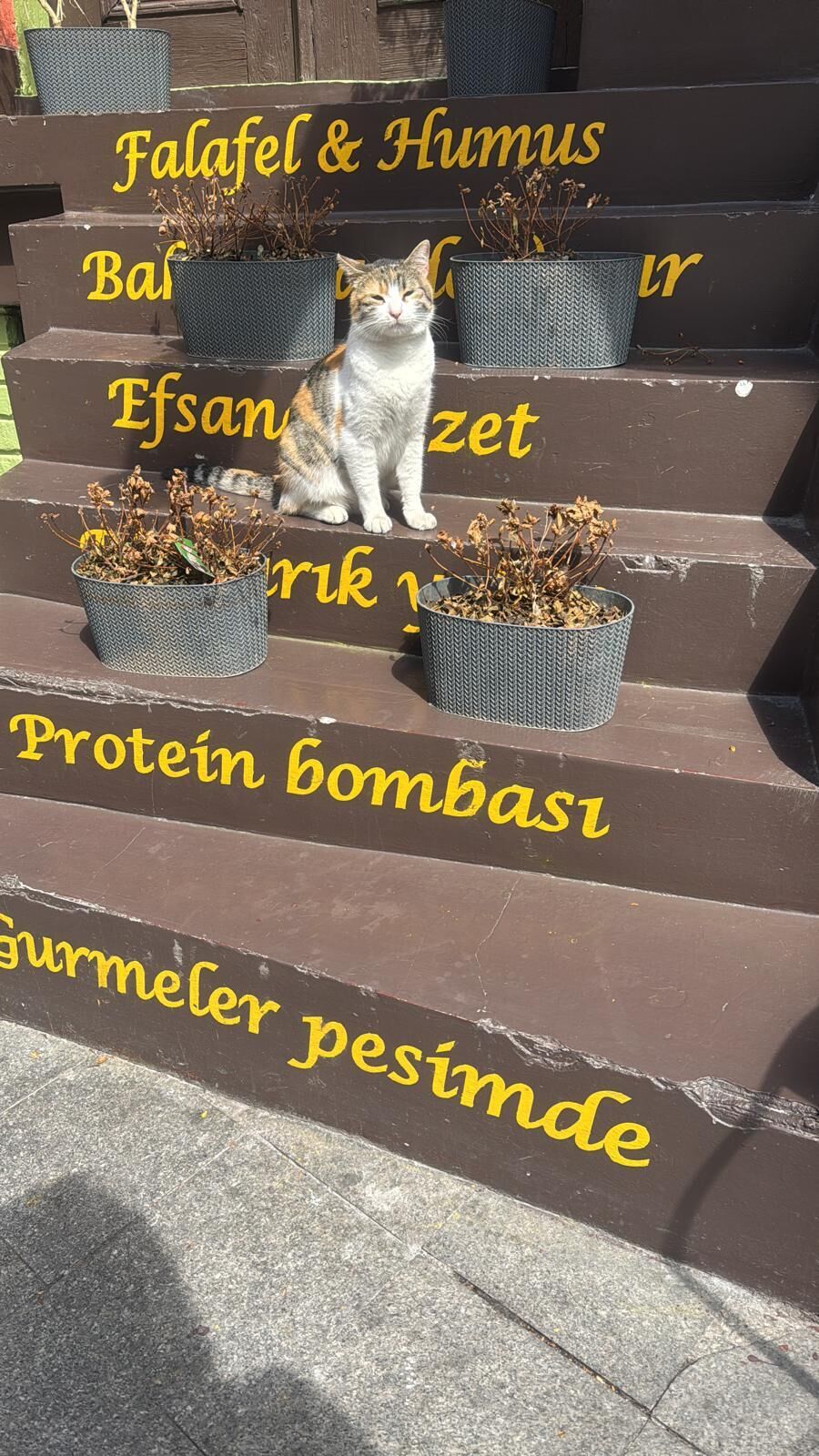 Estambul