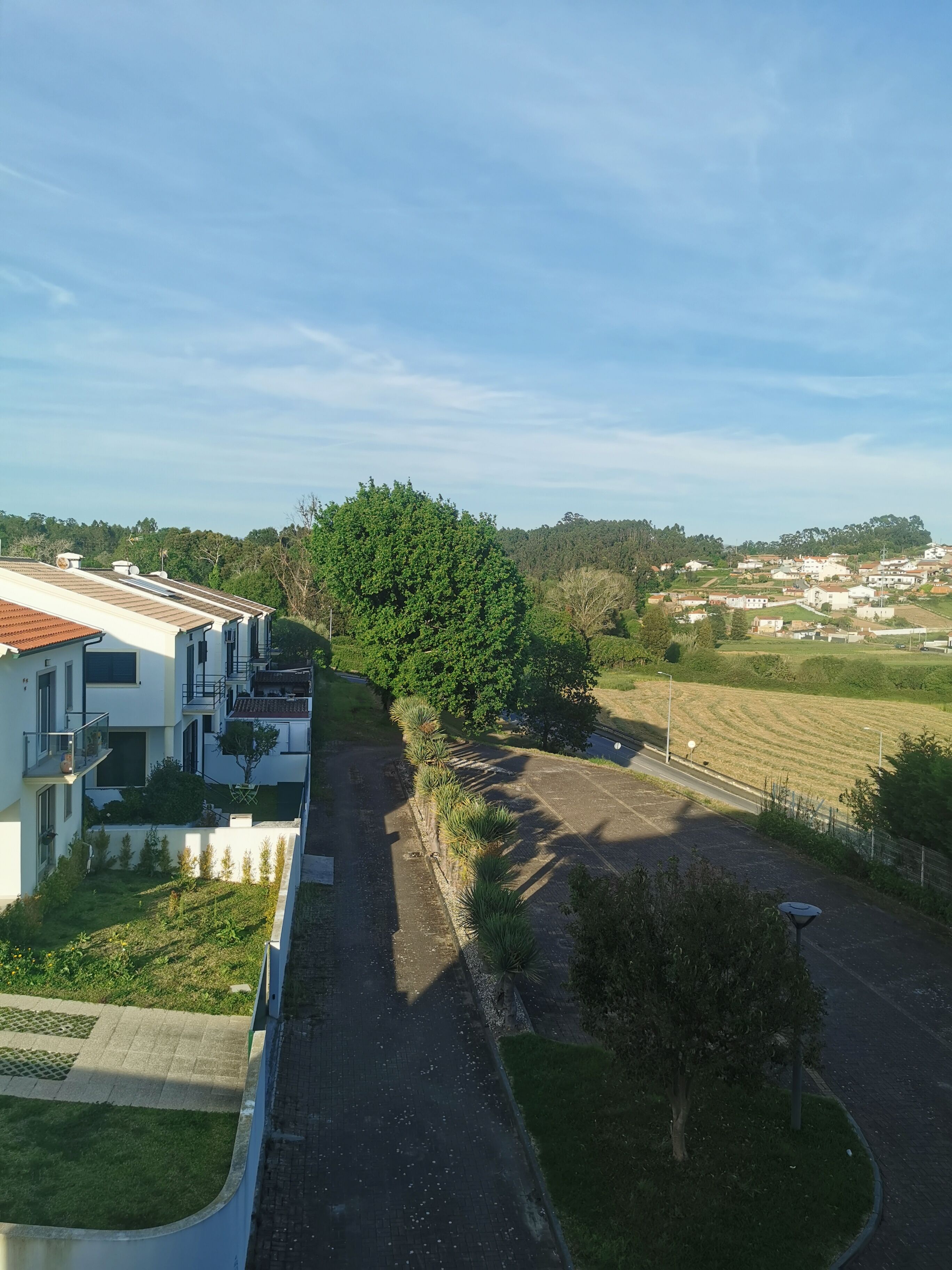 Estarreja