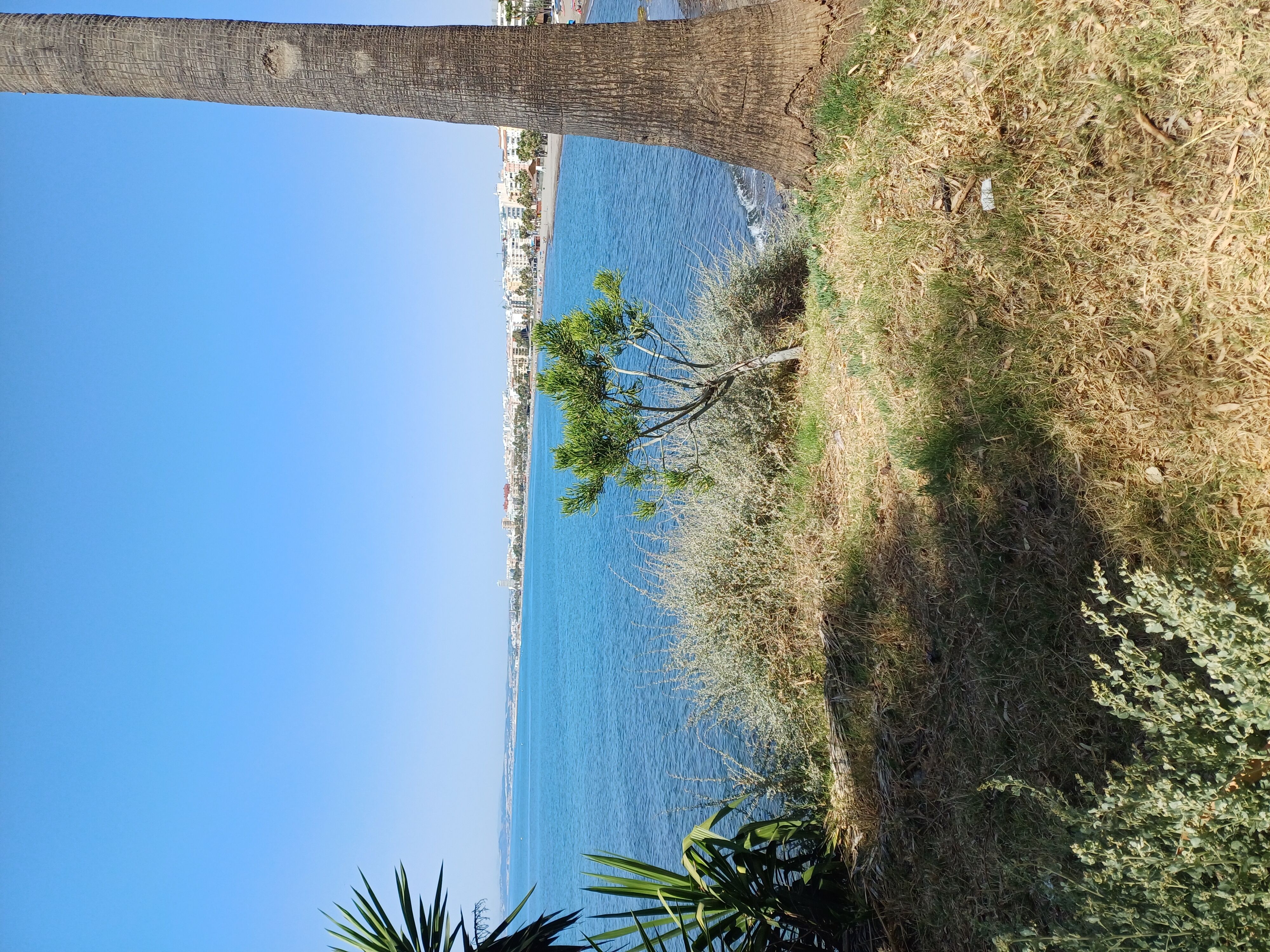 Estepona