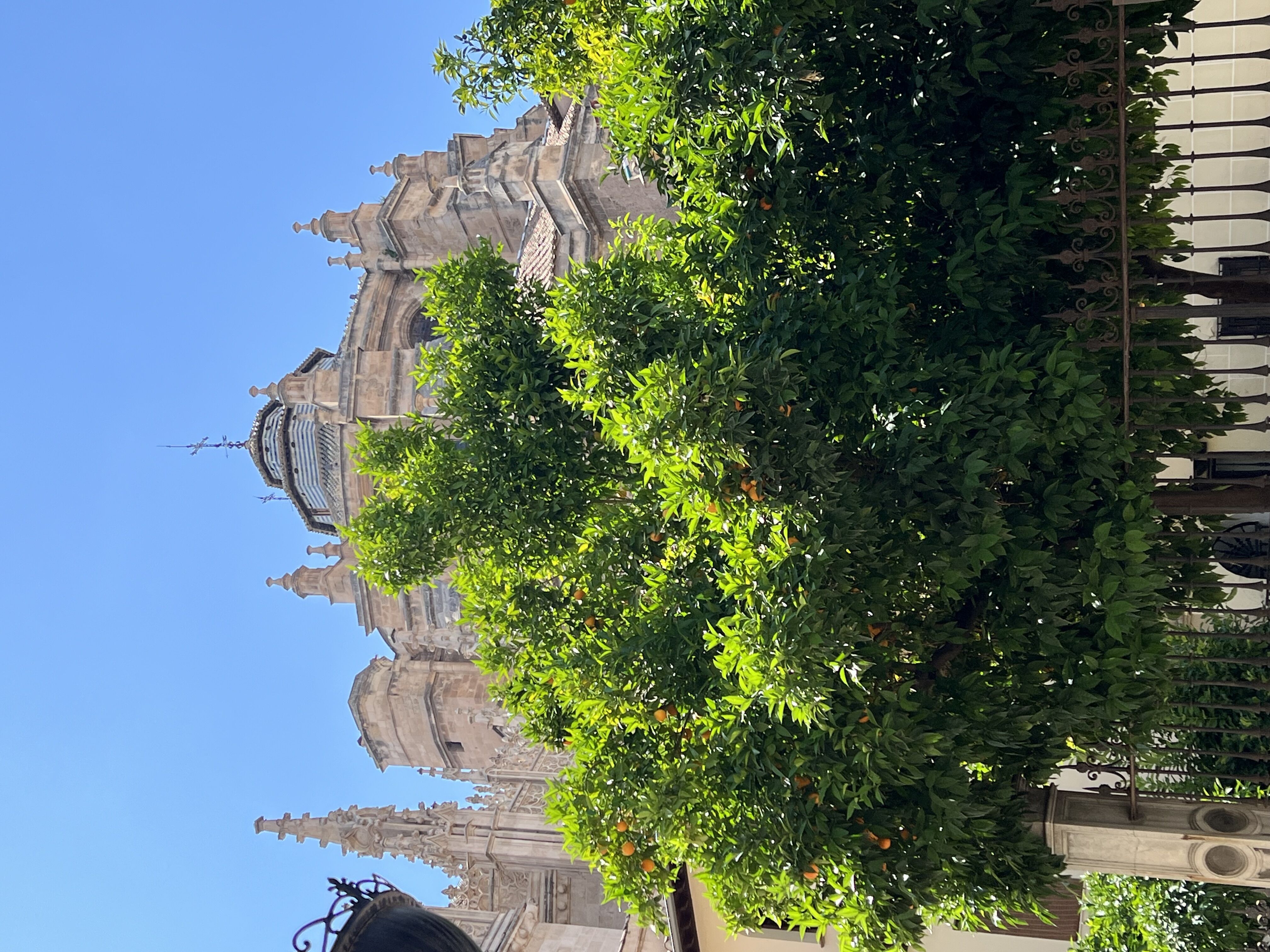 Granada