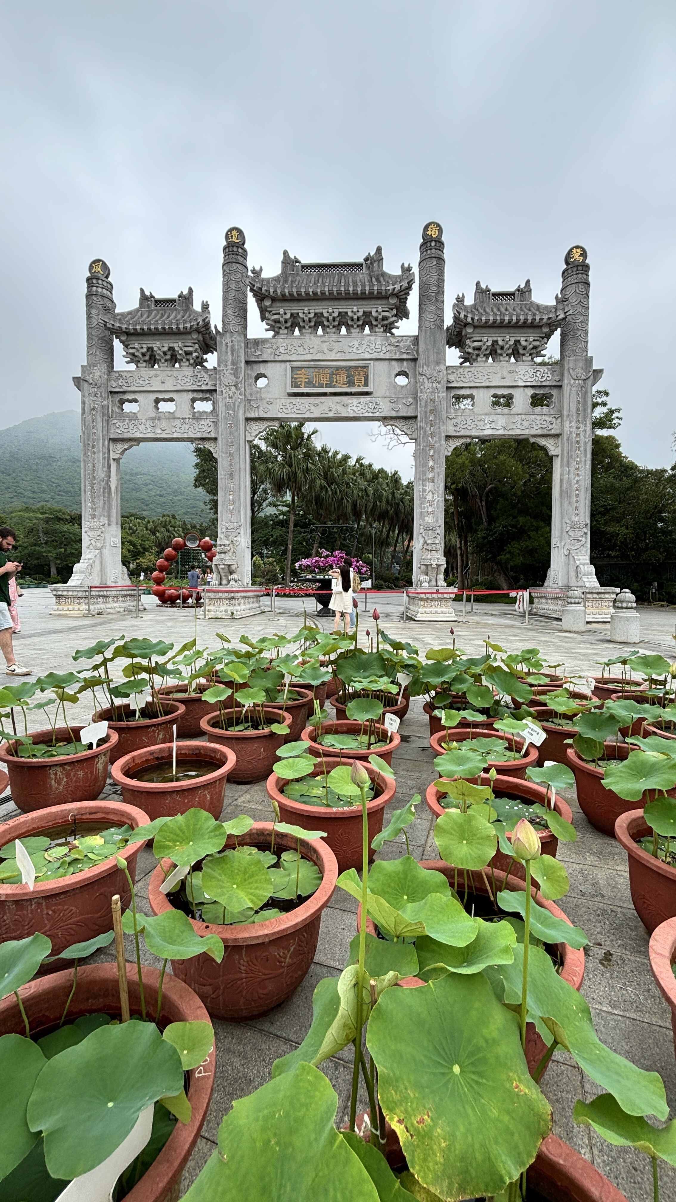 Hong Kong
