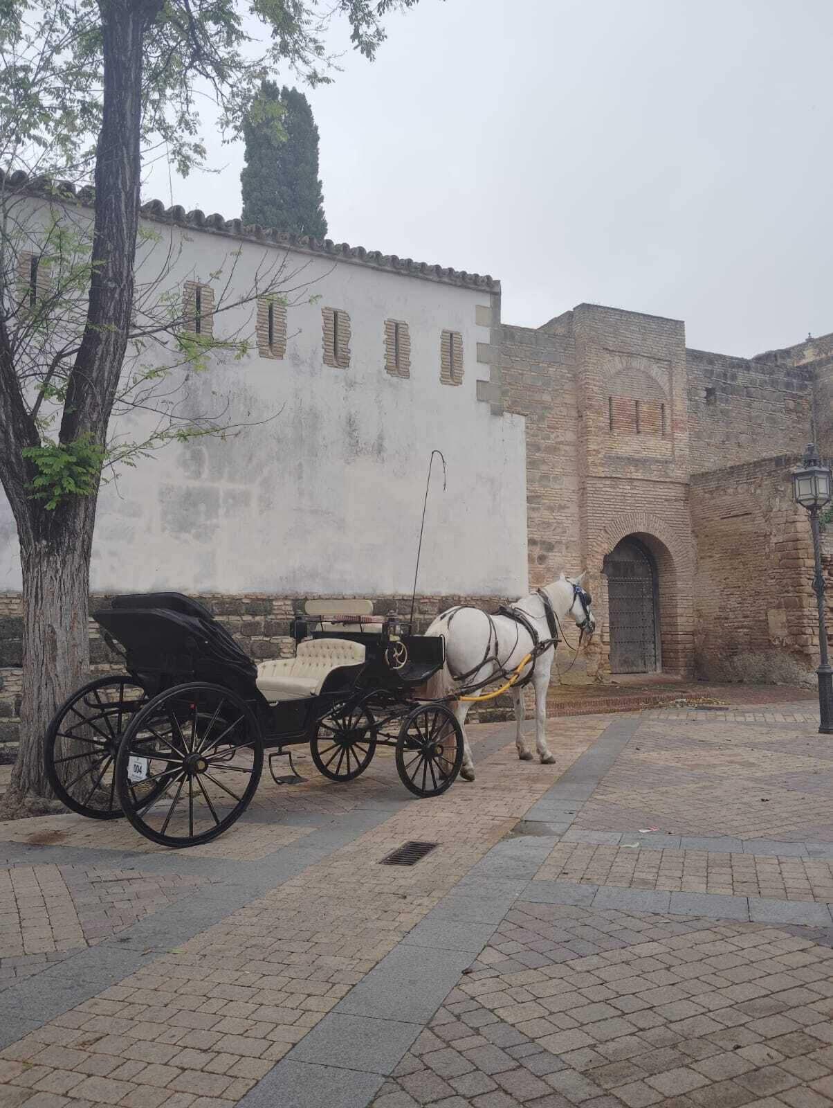 Jerez de la Frontera