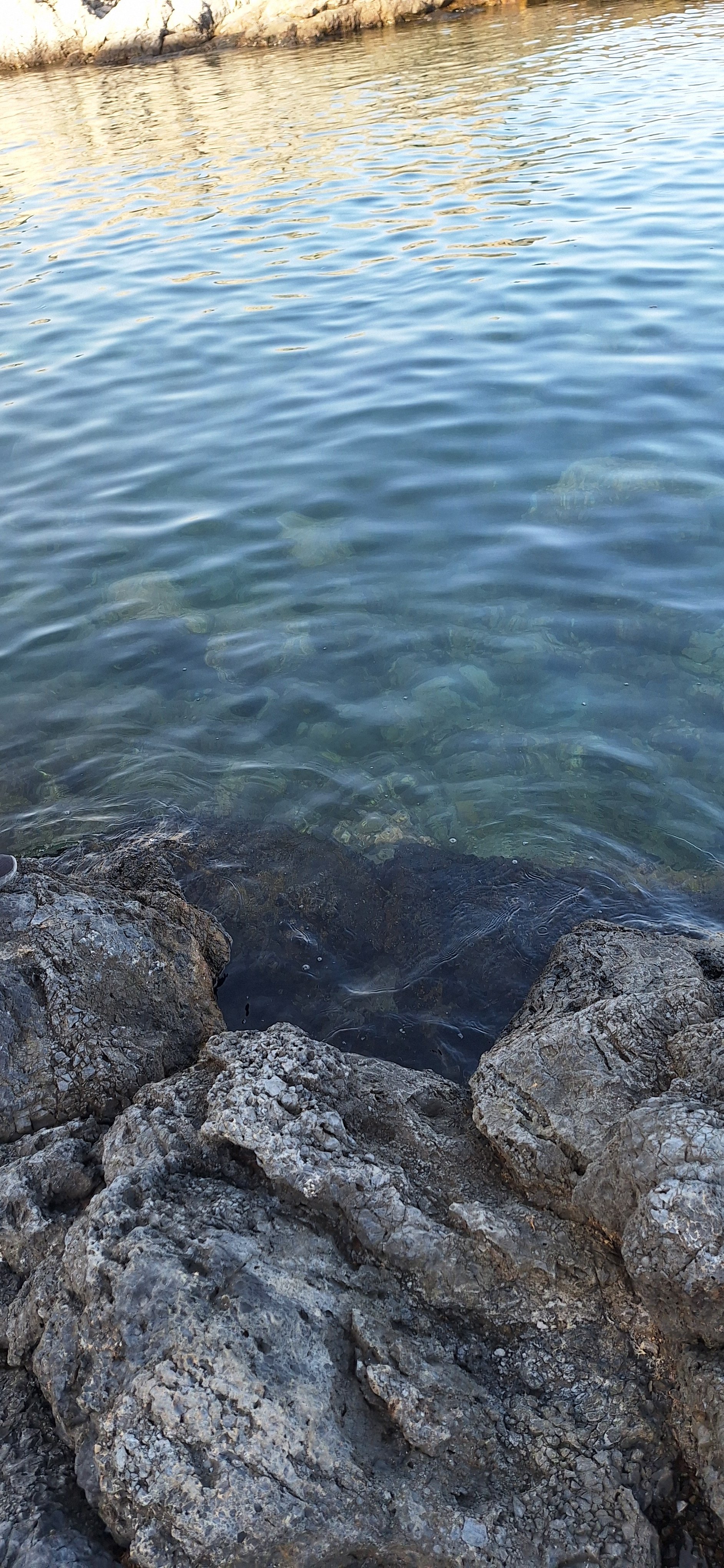 La Herradura