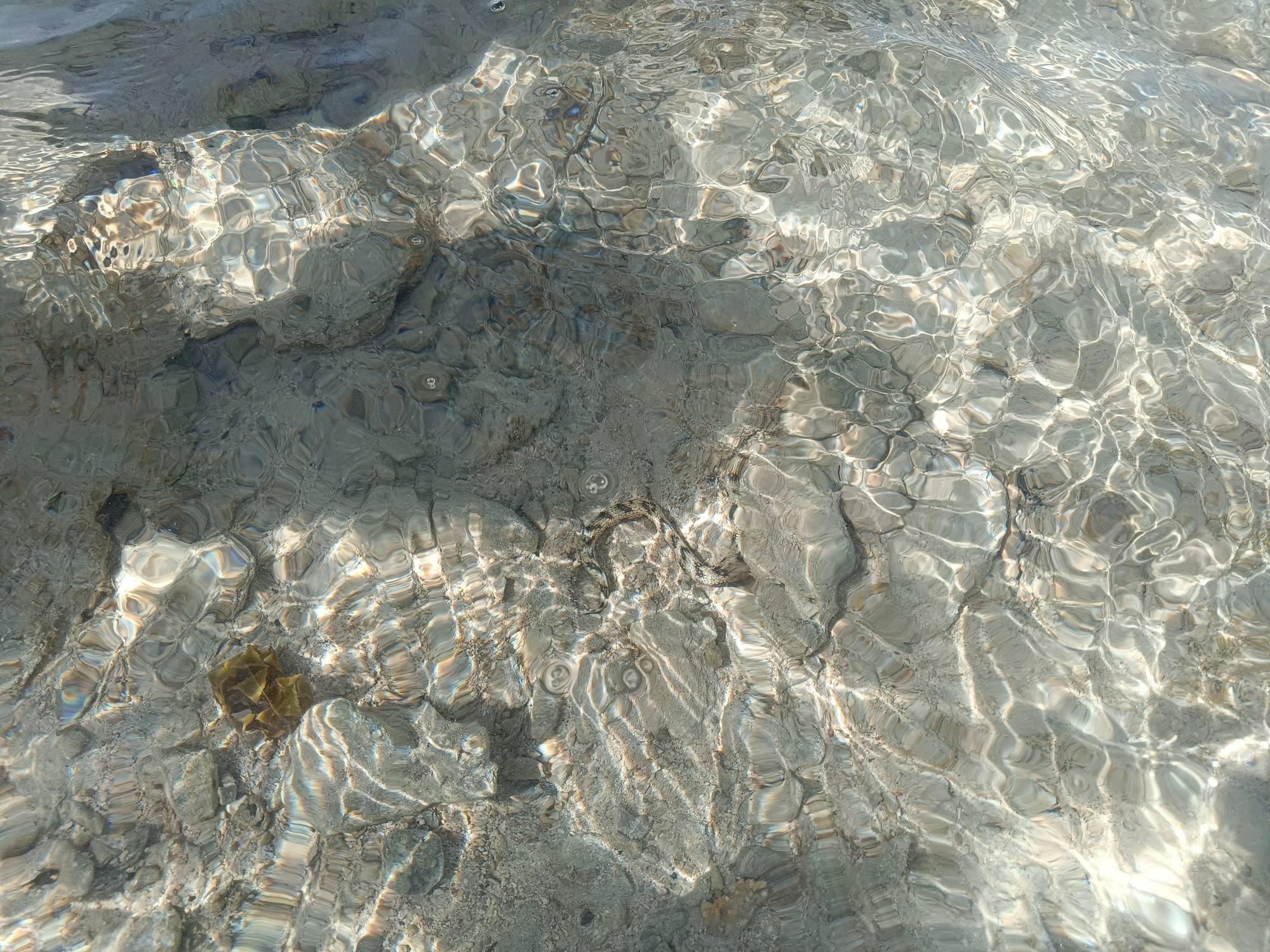 Marsa Alam