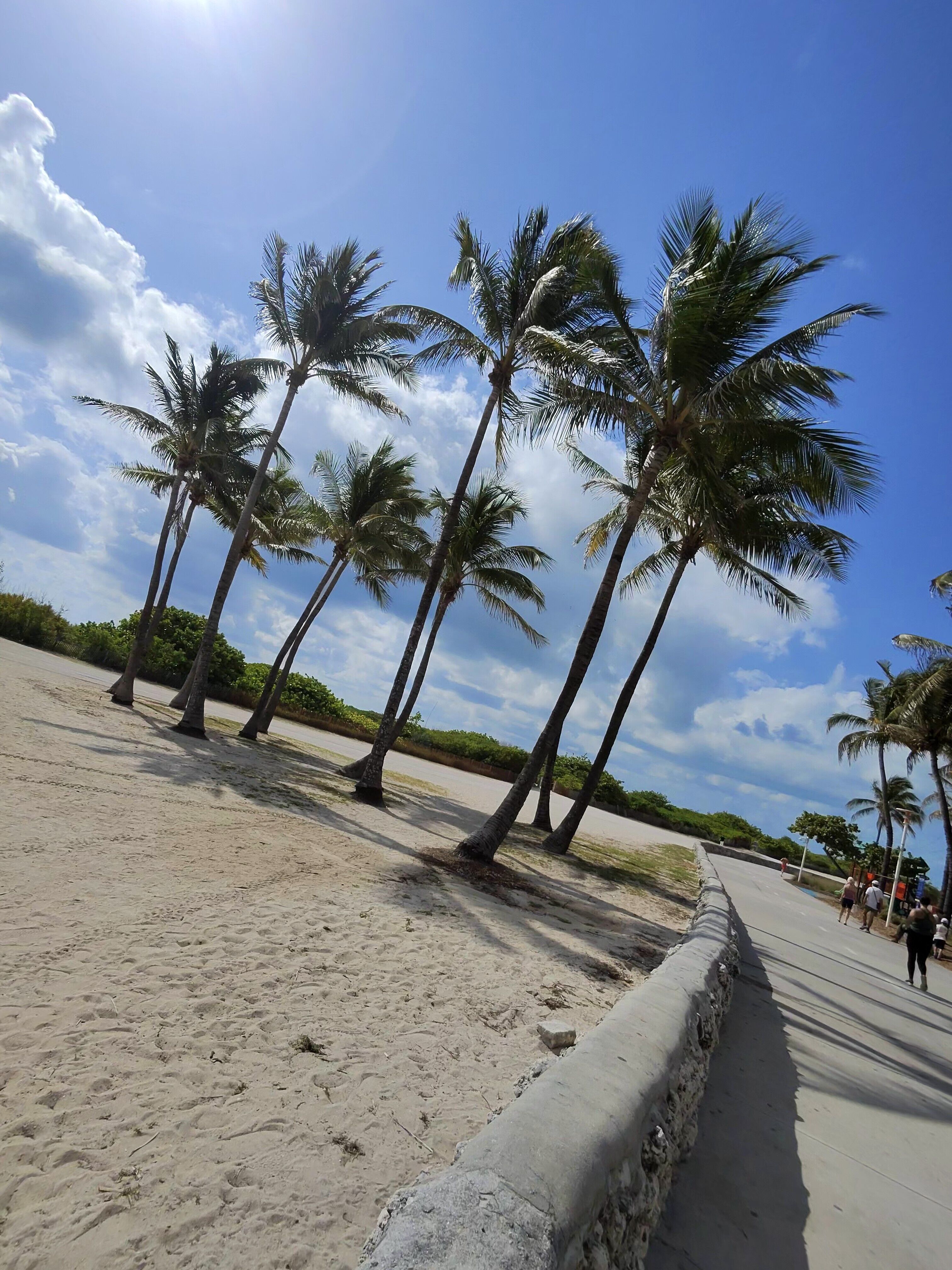 Miami Beach