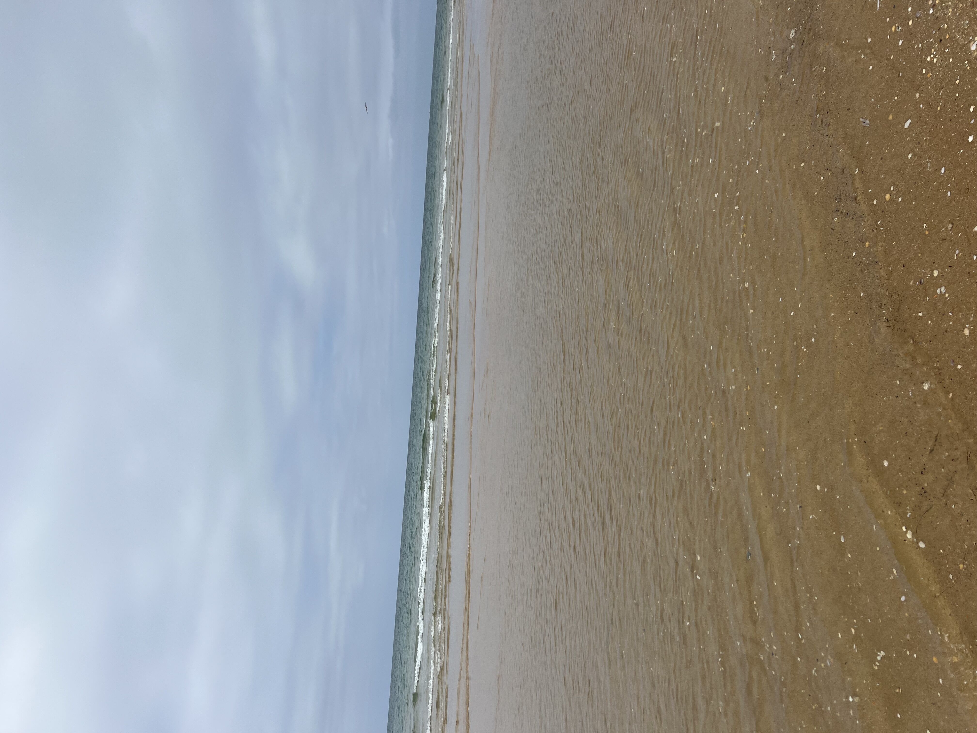 Monte Gordo