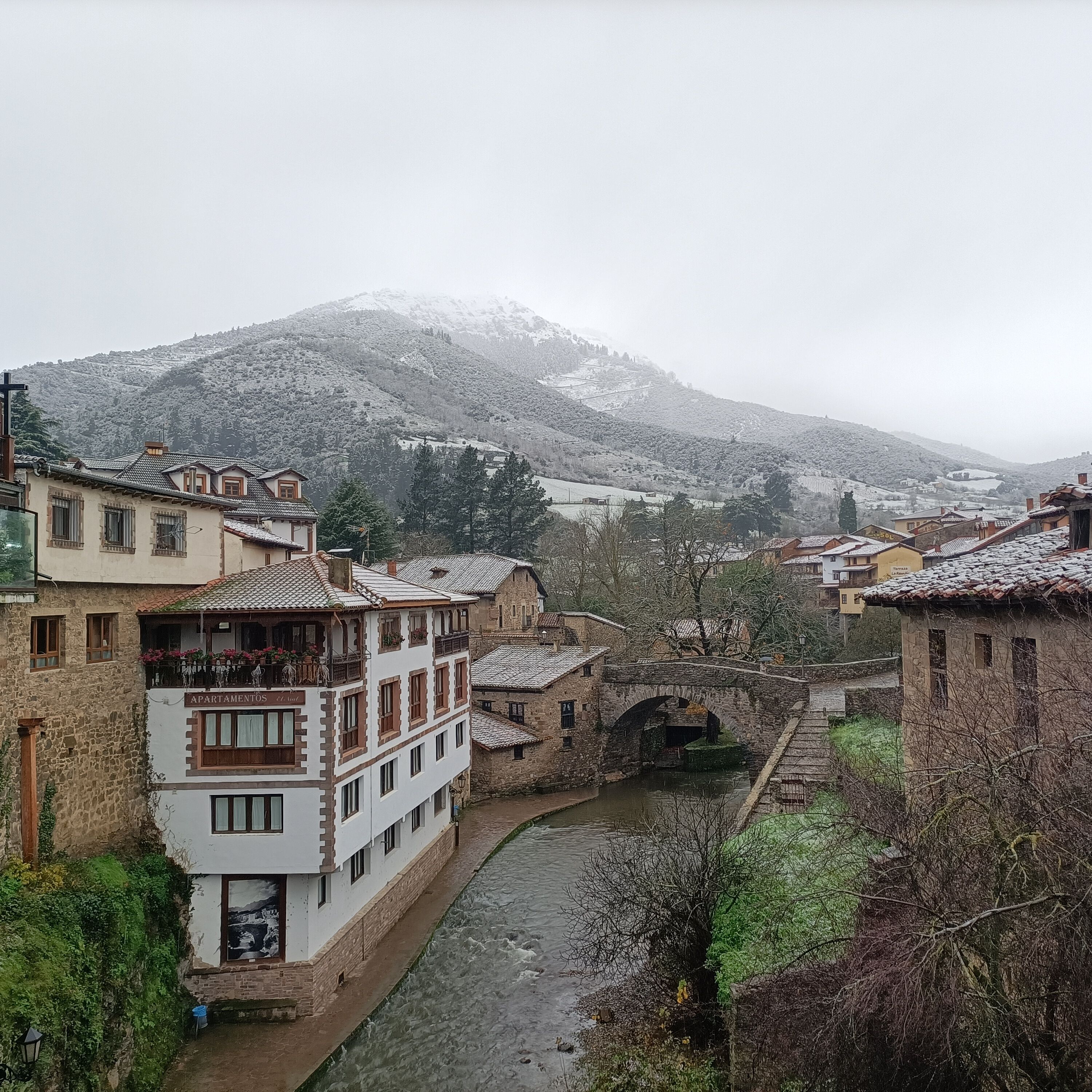 Ojedo