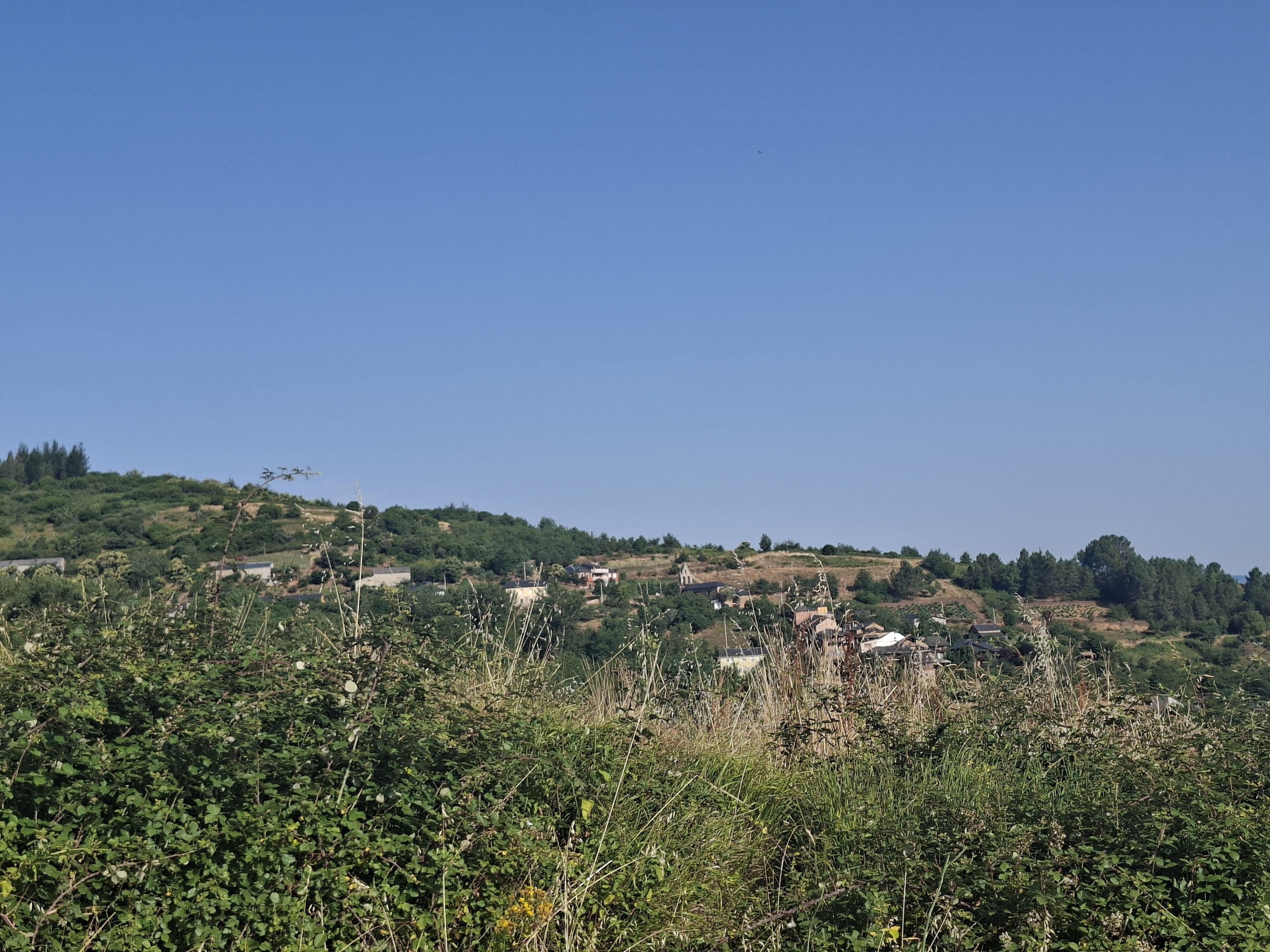Orellán