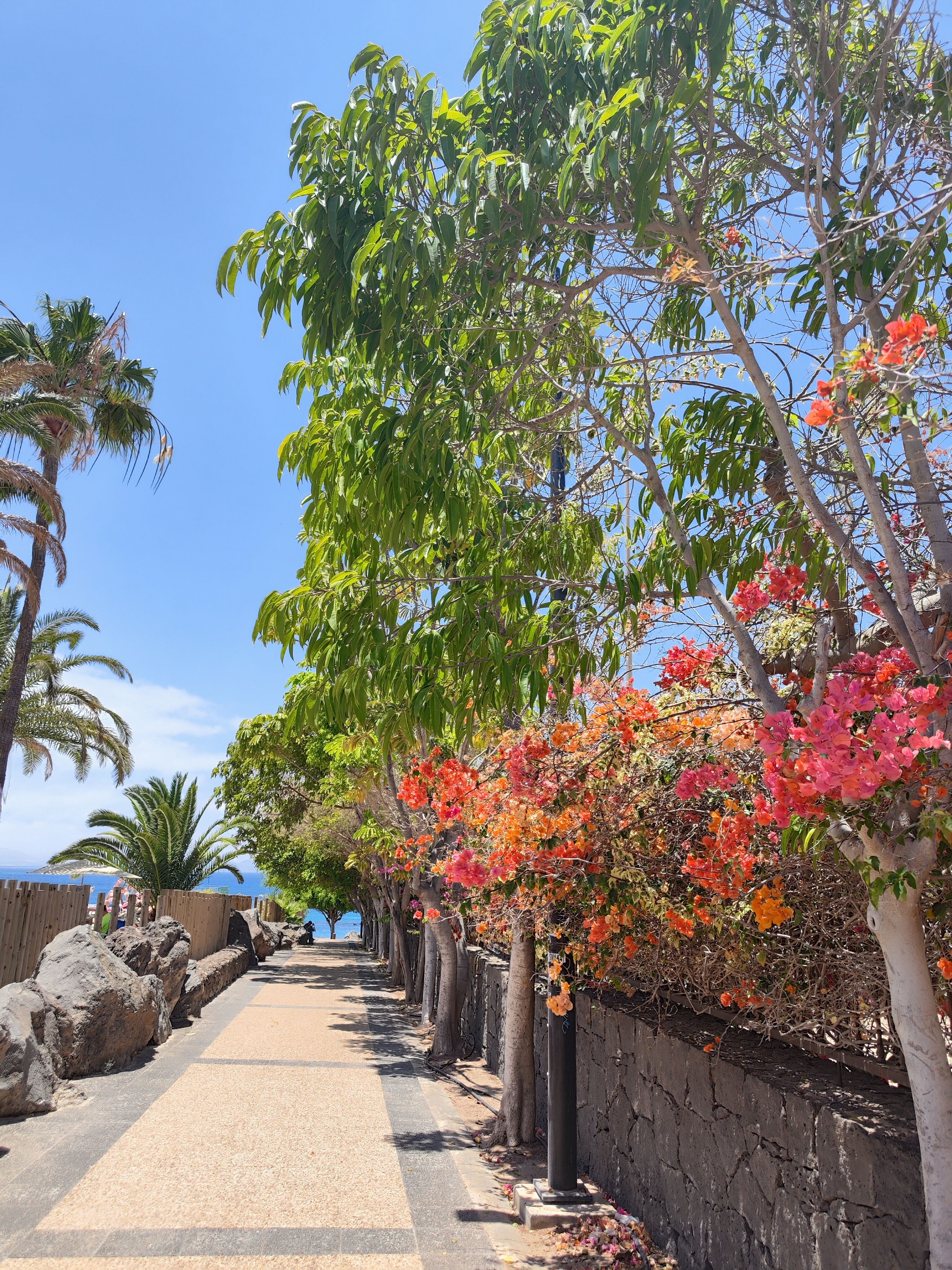 Playa Blanca