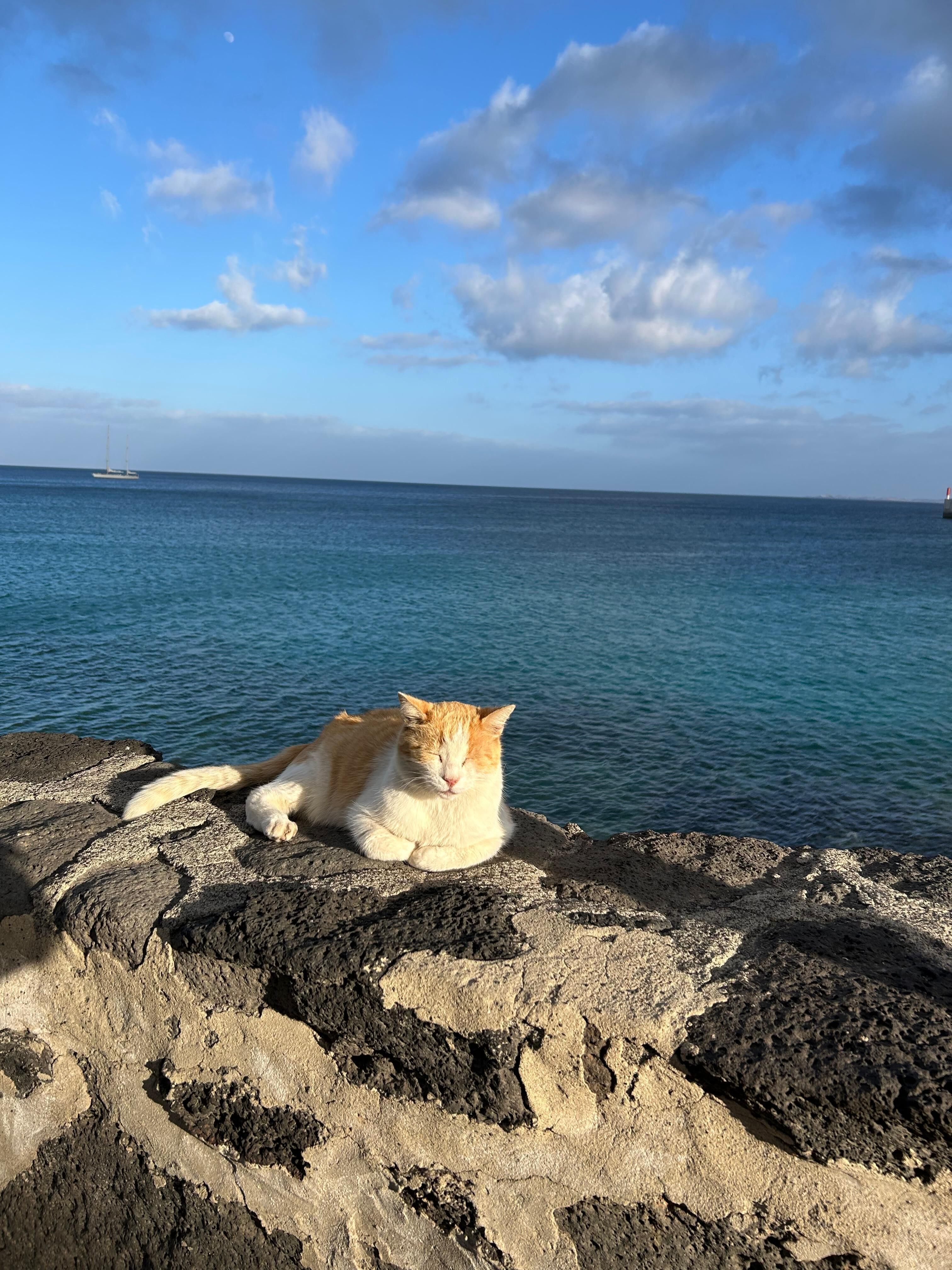 Playa Blanca