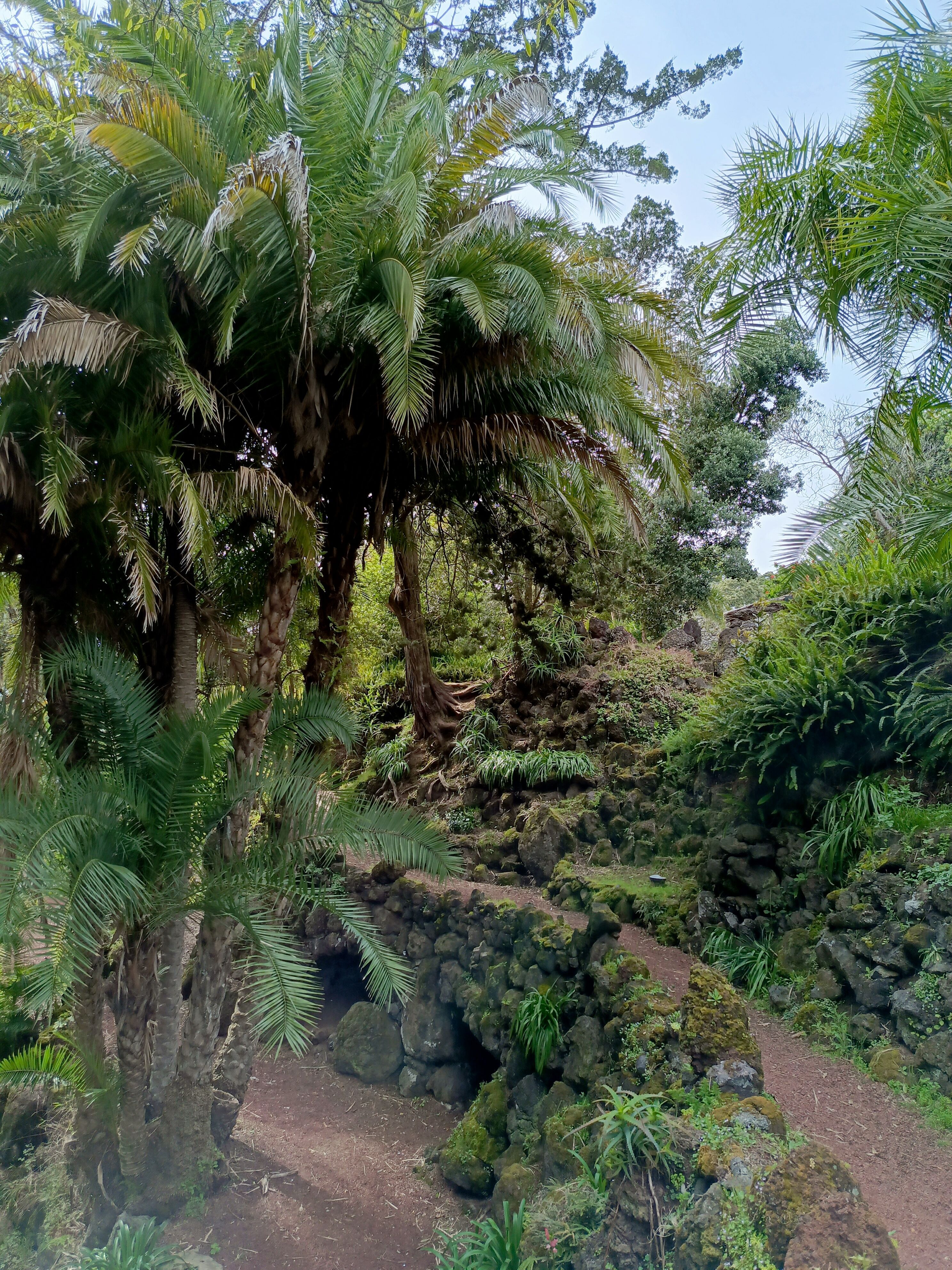 Ponta Delgada