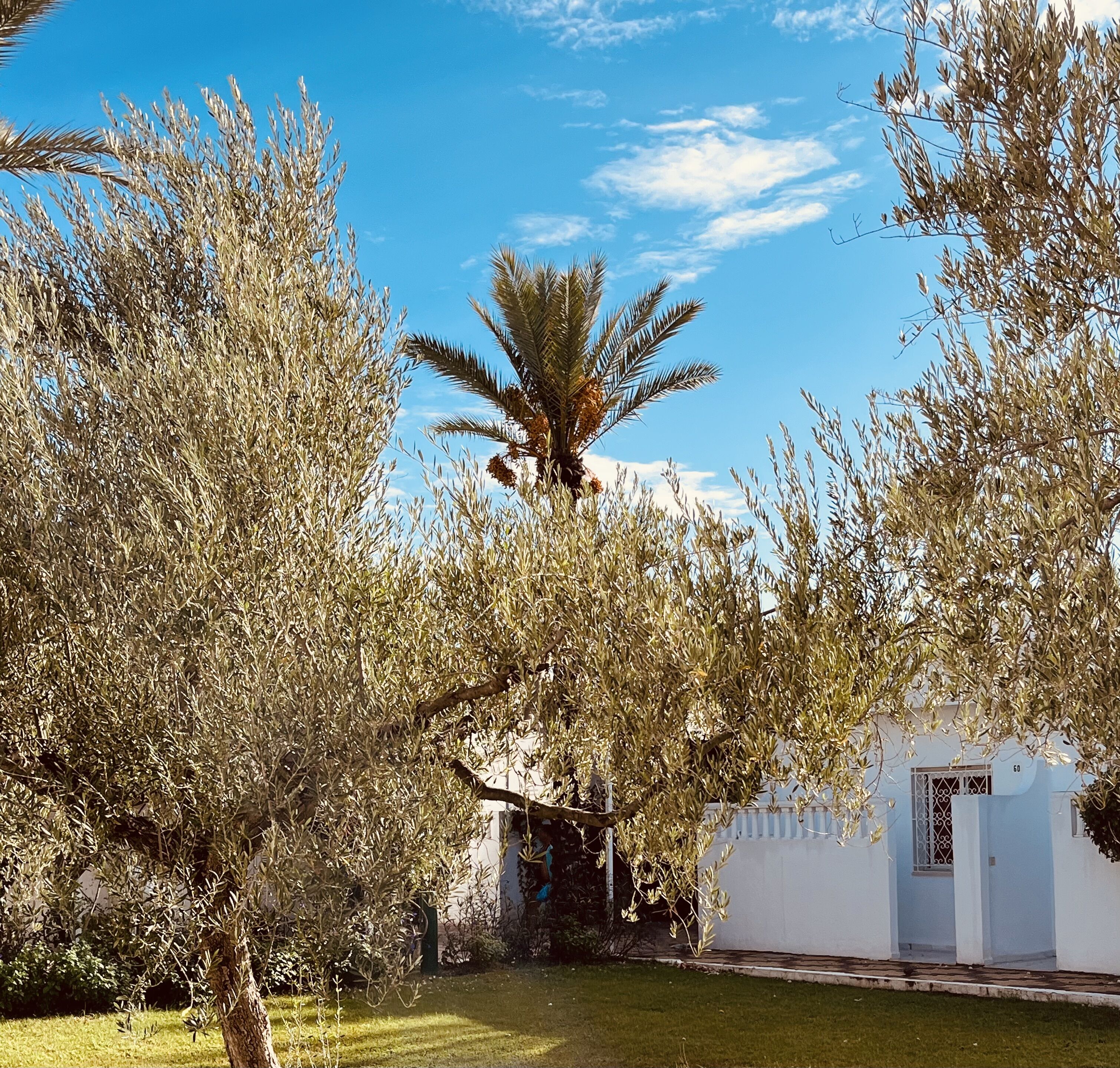 Port el Kantaoui