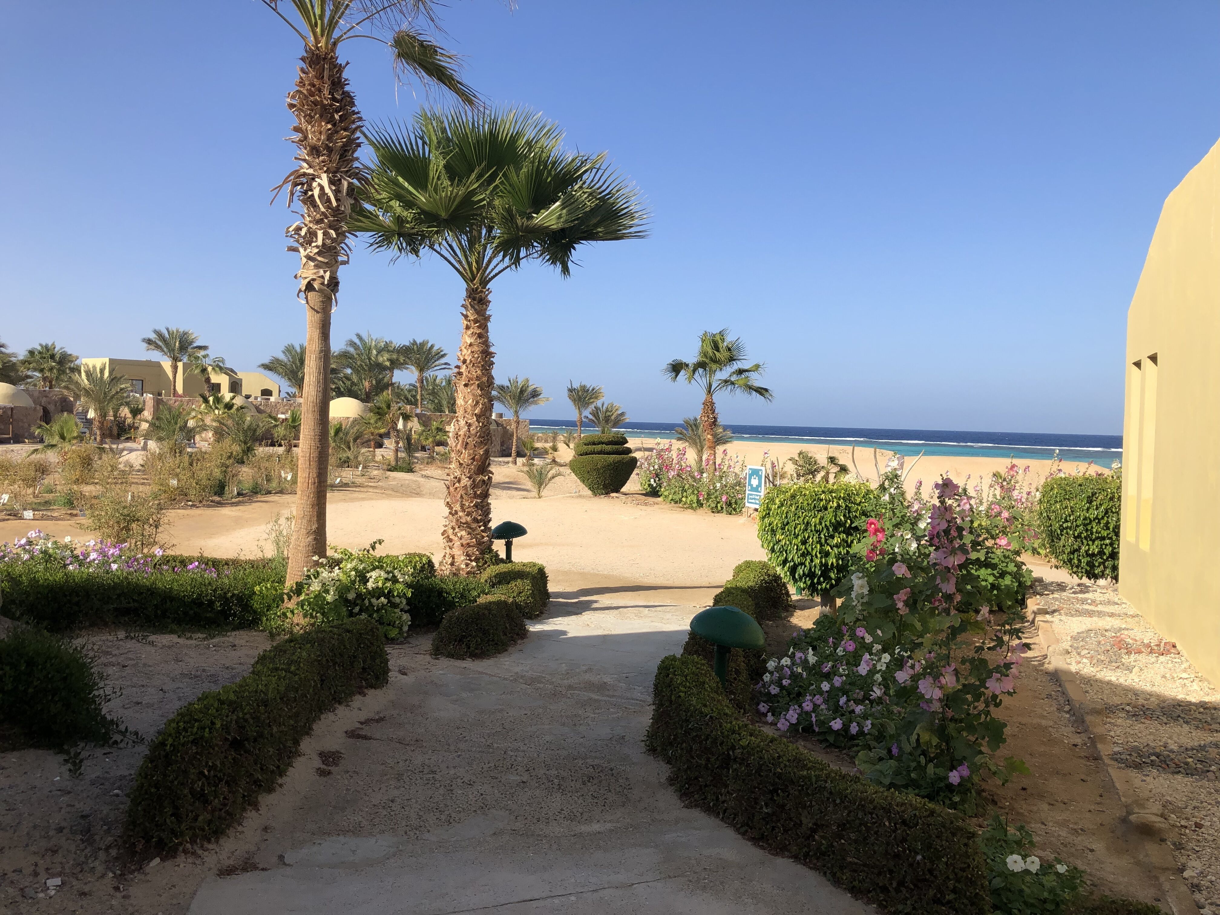 Port Ghalib