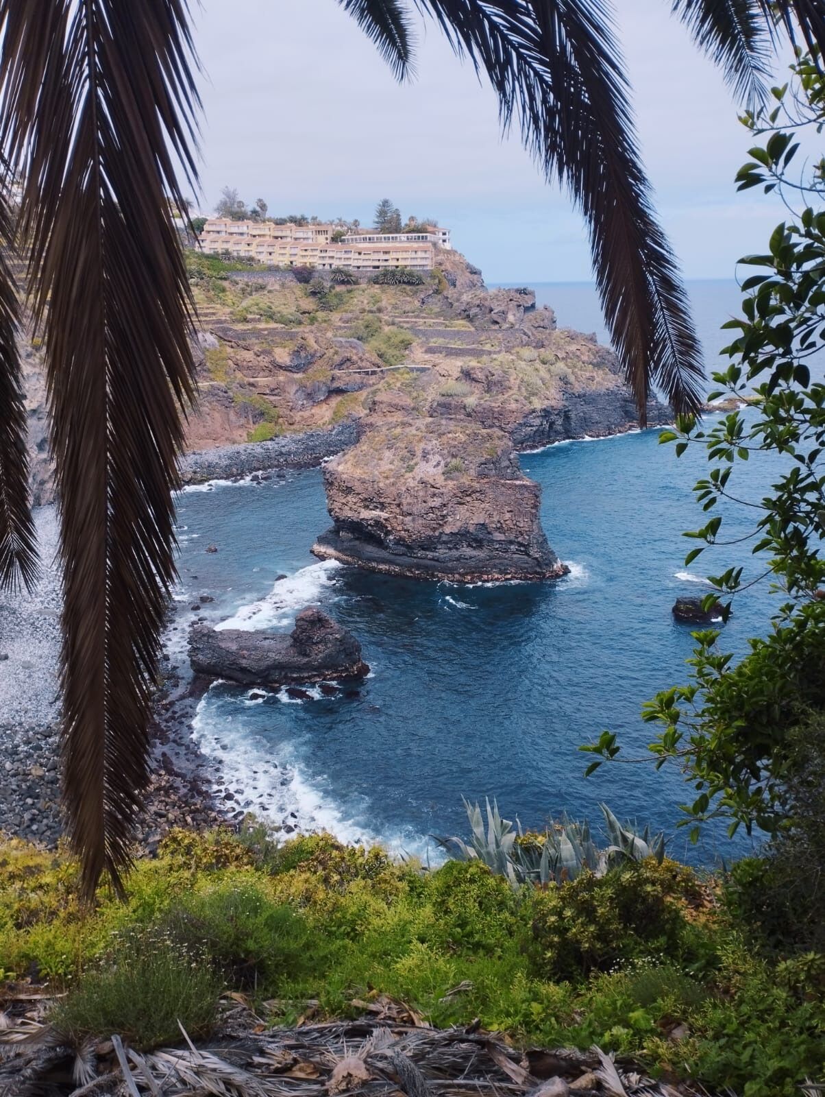 Puerto de la Cruz