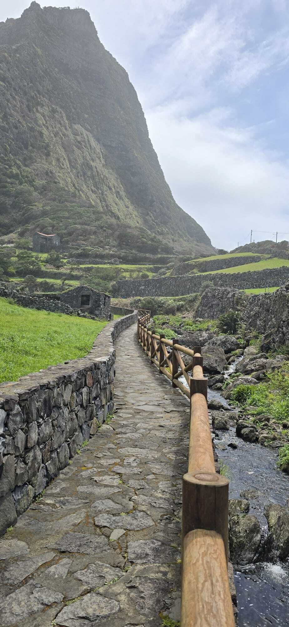 Santa Cruz Flores