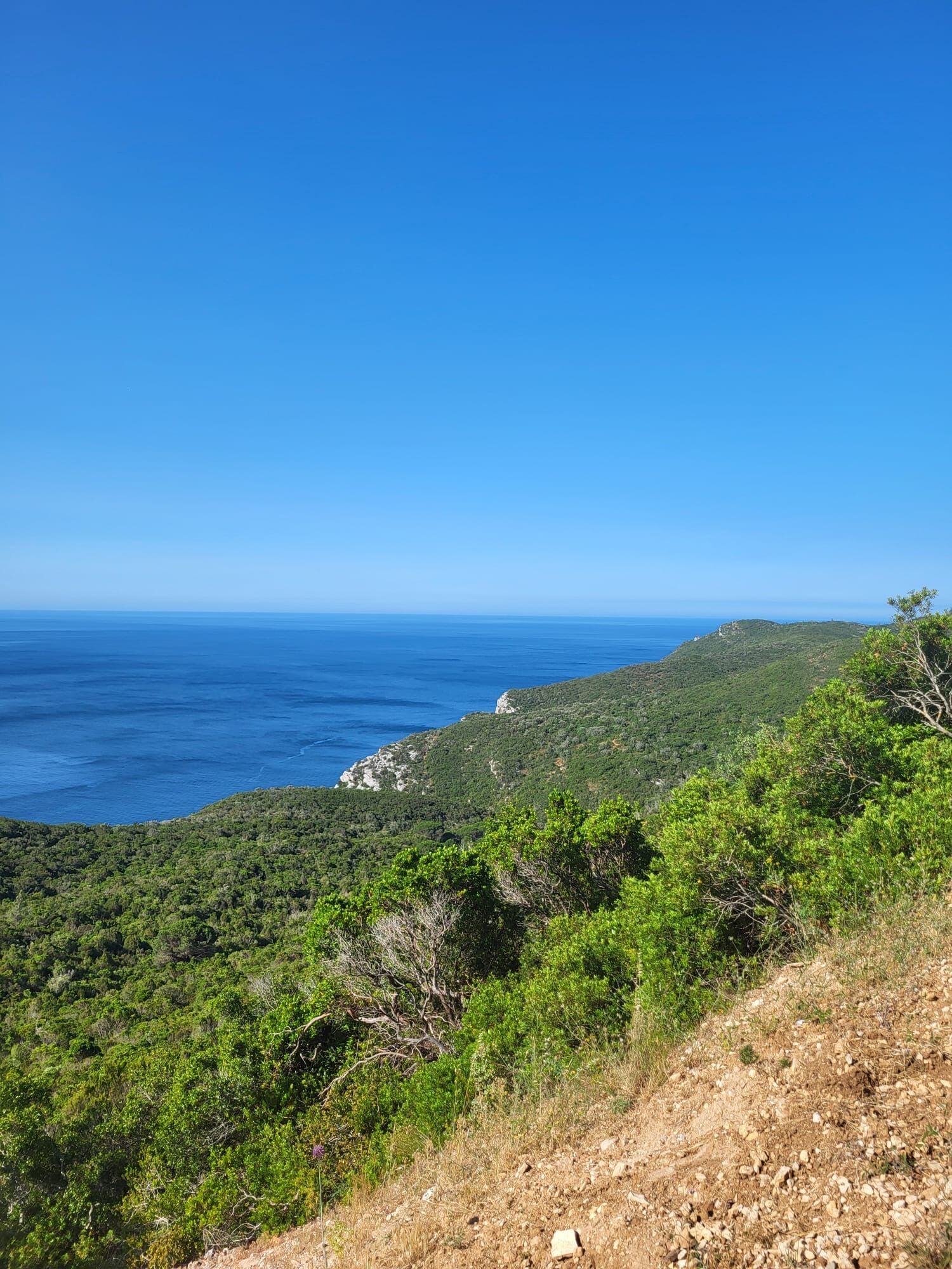 Sesimbra