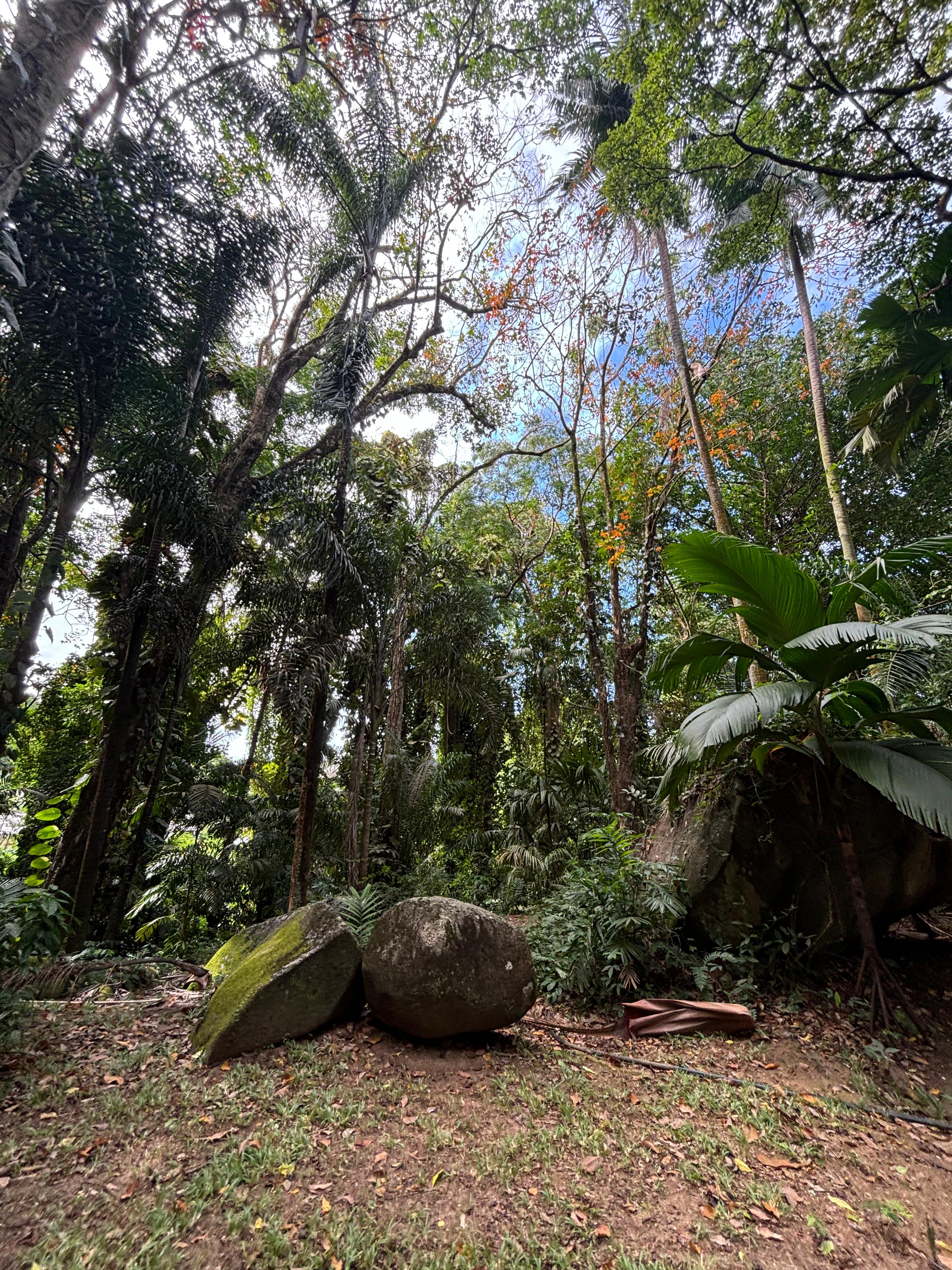 Seychelles (Country)
