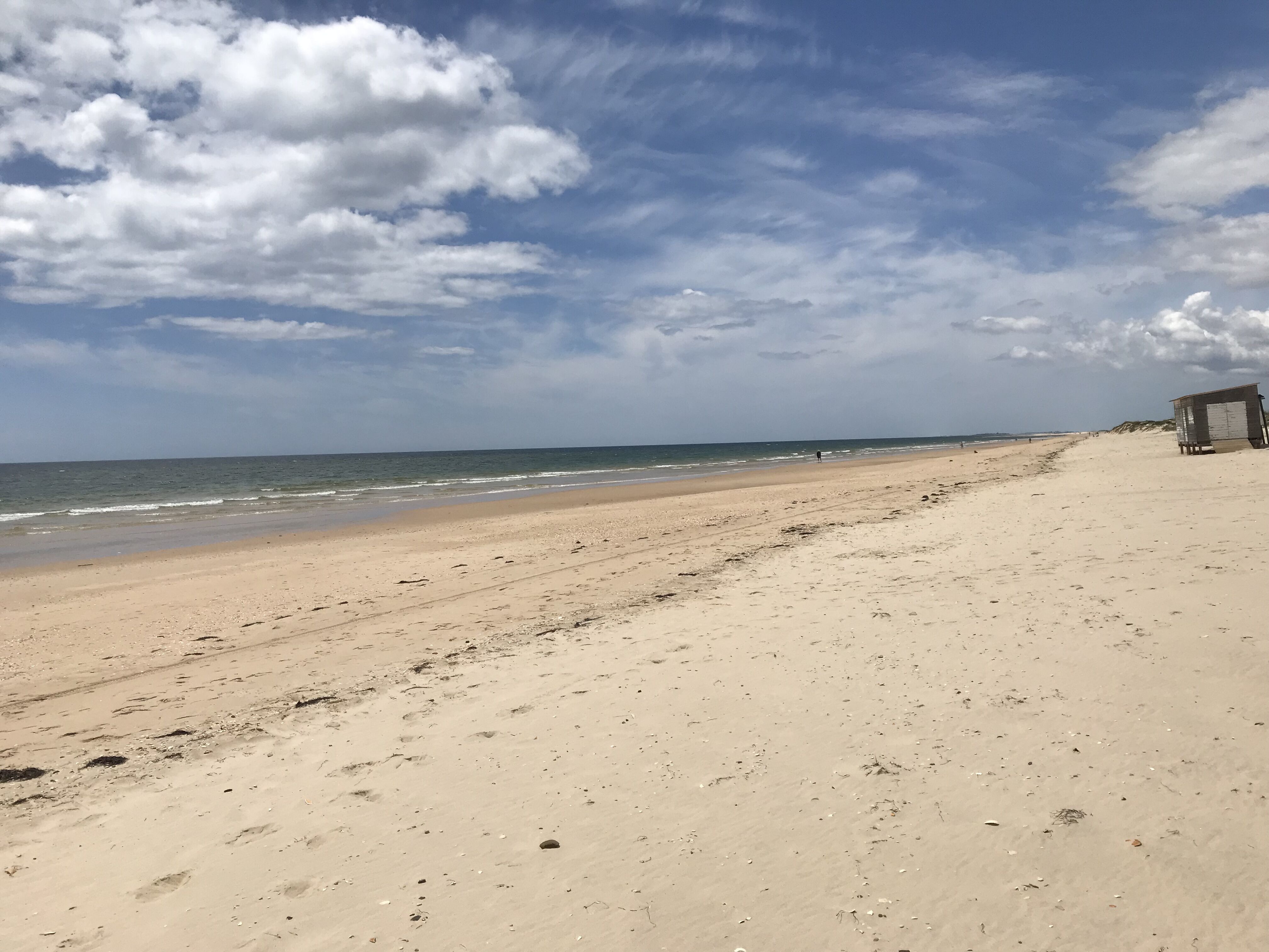 Tavira