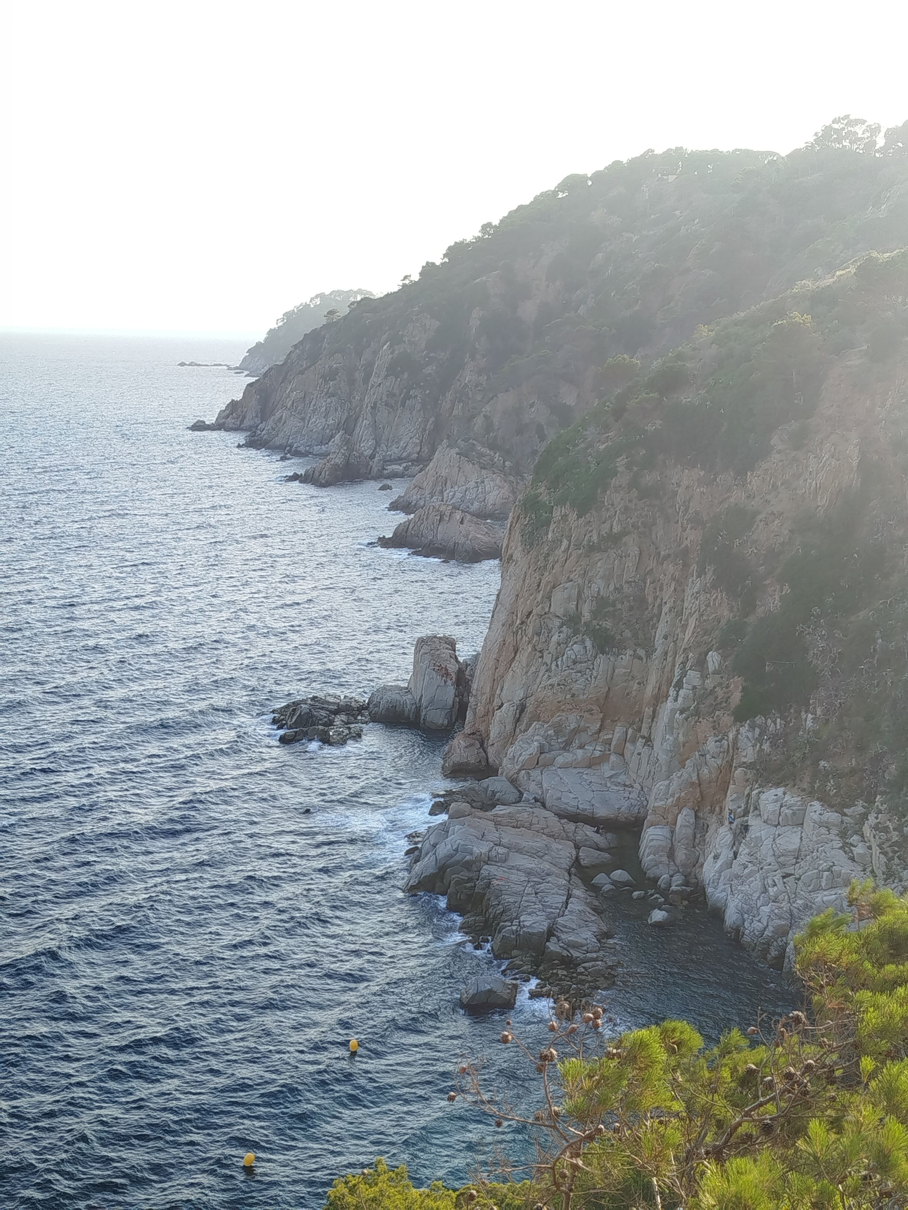 Tossa de Mar
