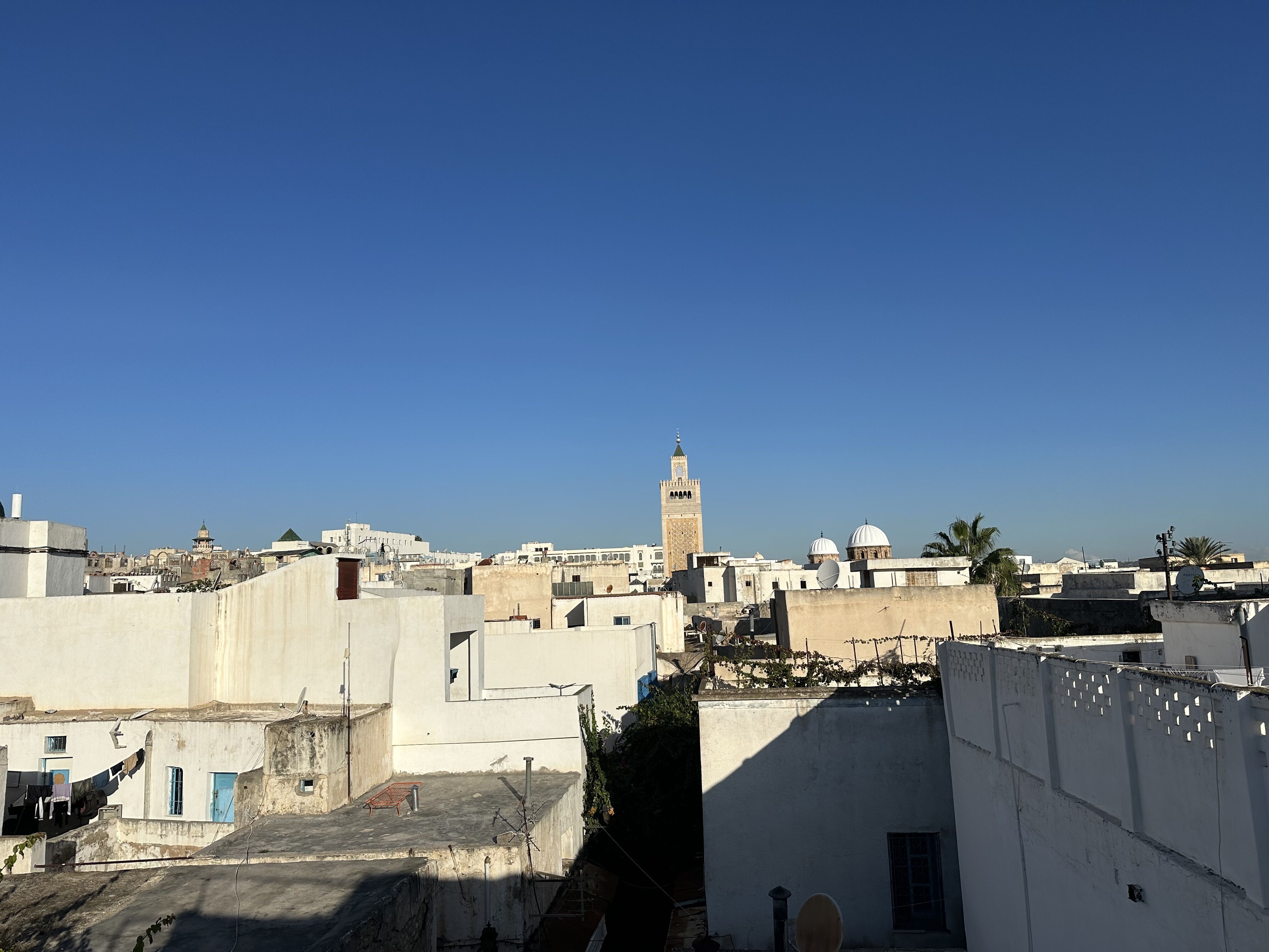 Tunis