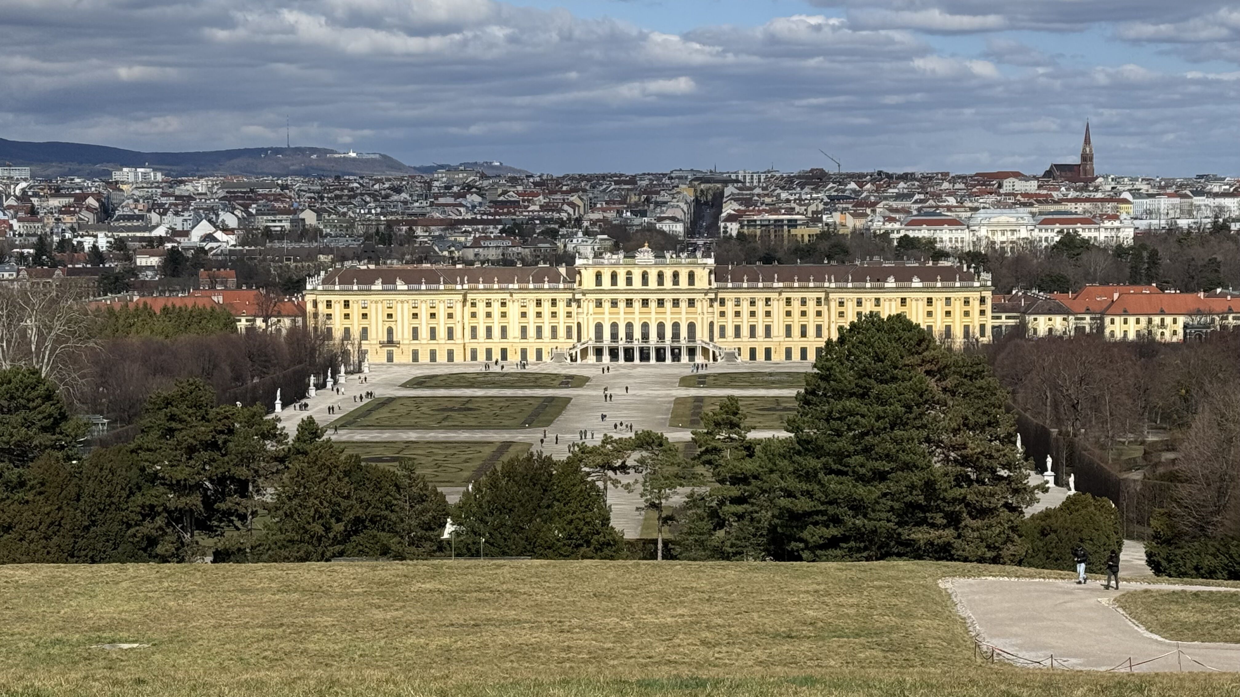 Viena