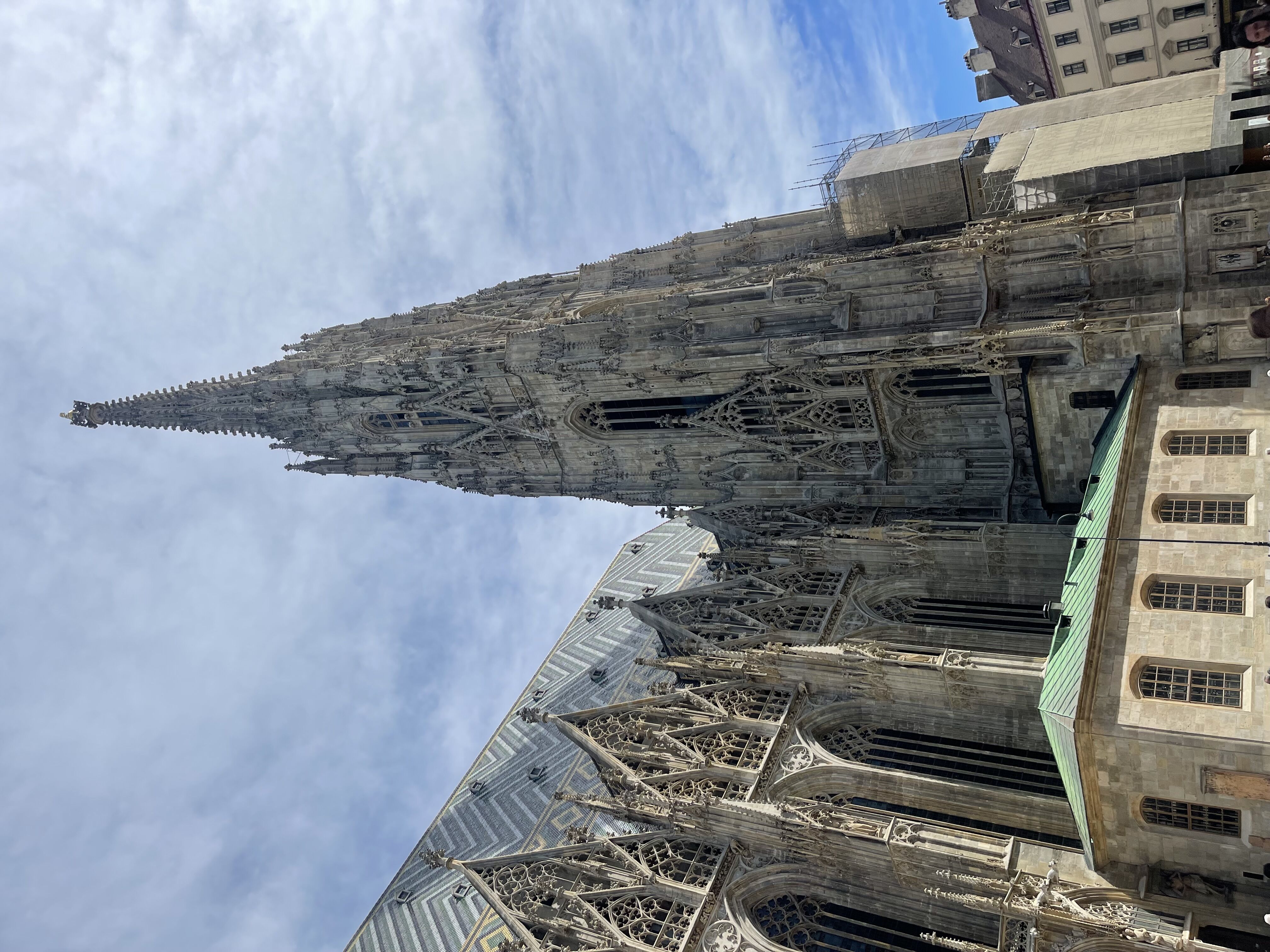 Viena